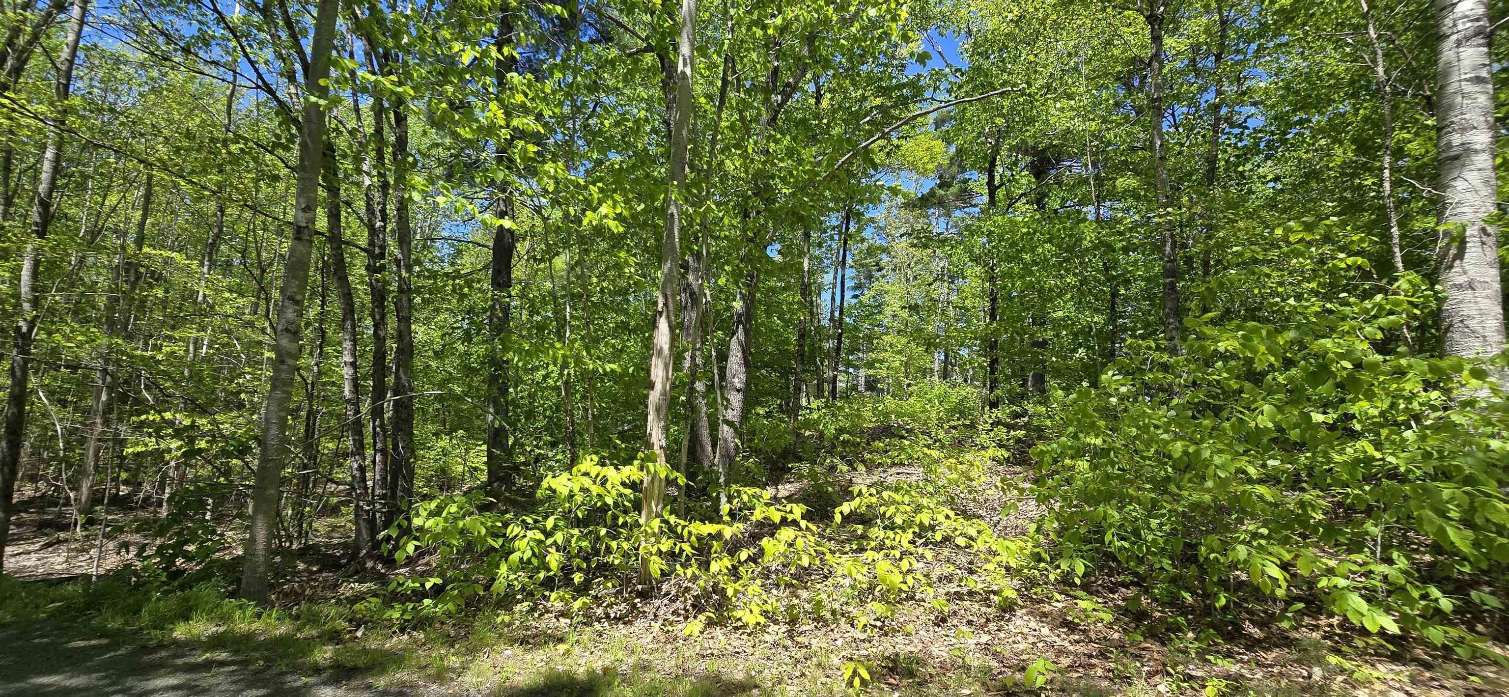 $33,900.00: Lot 24-6 East Clifford Road, East Clifford