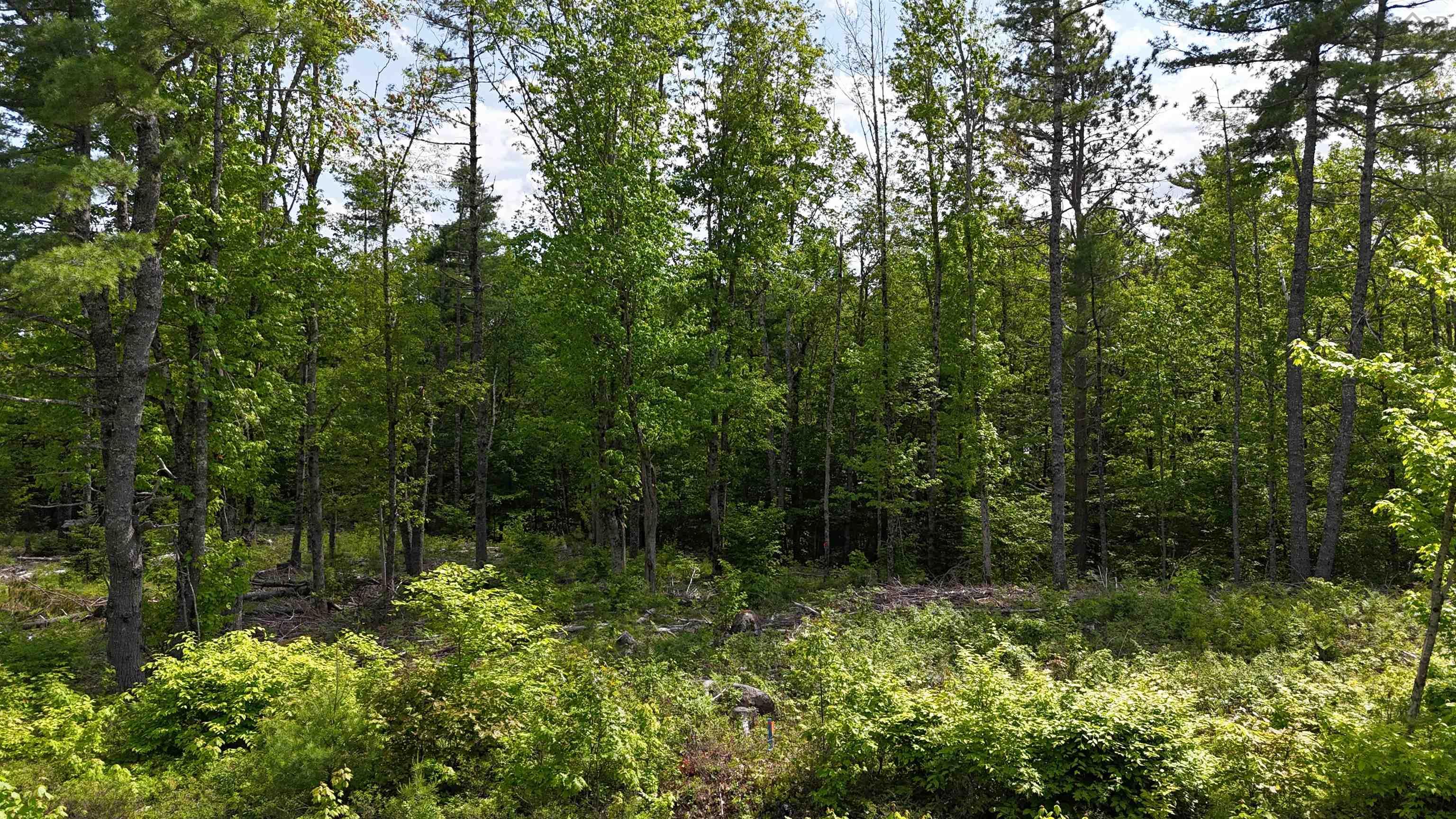 $33,900.00: Lot 24-6 East Clifford Road, East Clifford