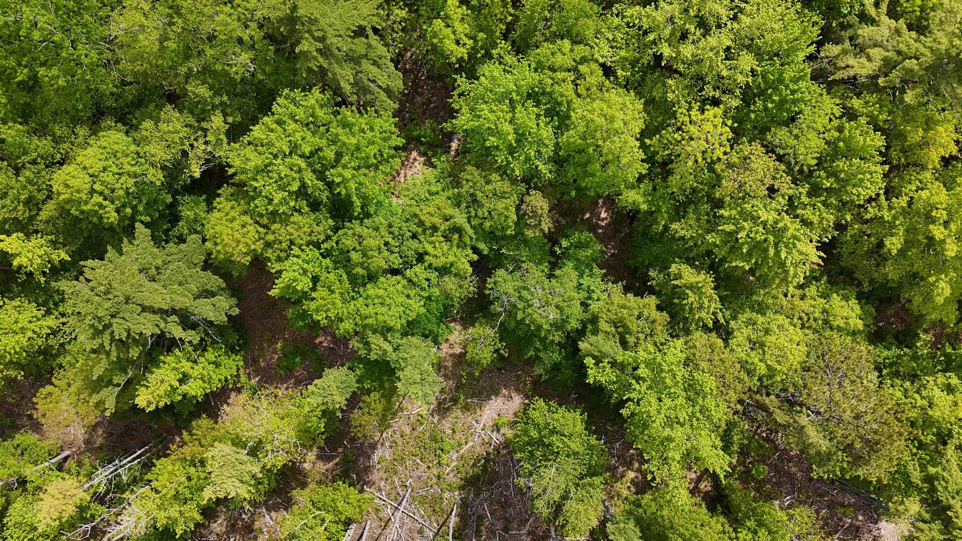 $33,900.00: Lot 24-6 East Clifford Road, East Clifford