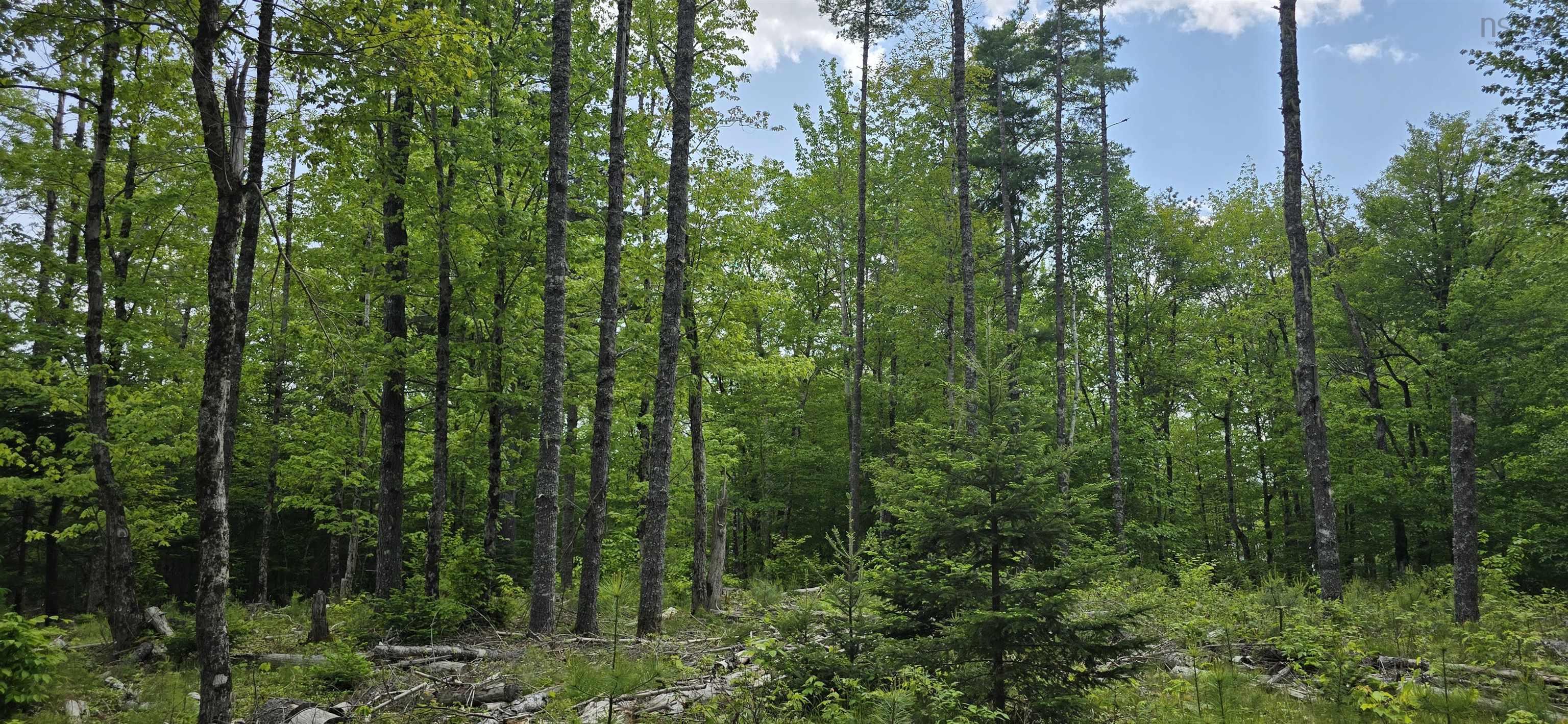$33,900.00: Lot 24-6 East Clifford Road, East Clifford