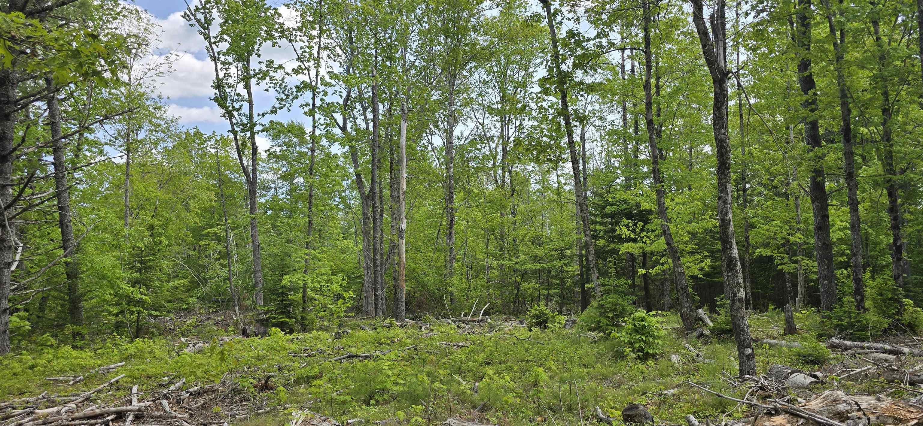 $33,900.00: Lot 24-6 East Clifford Road, East Clifford