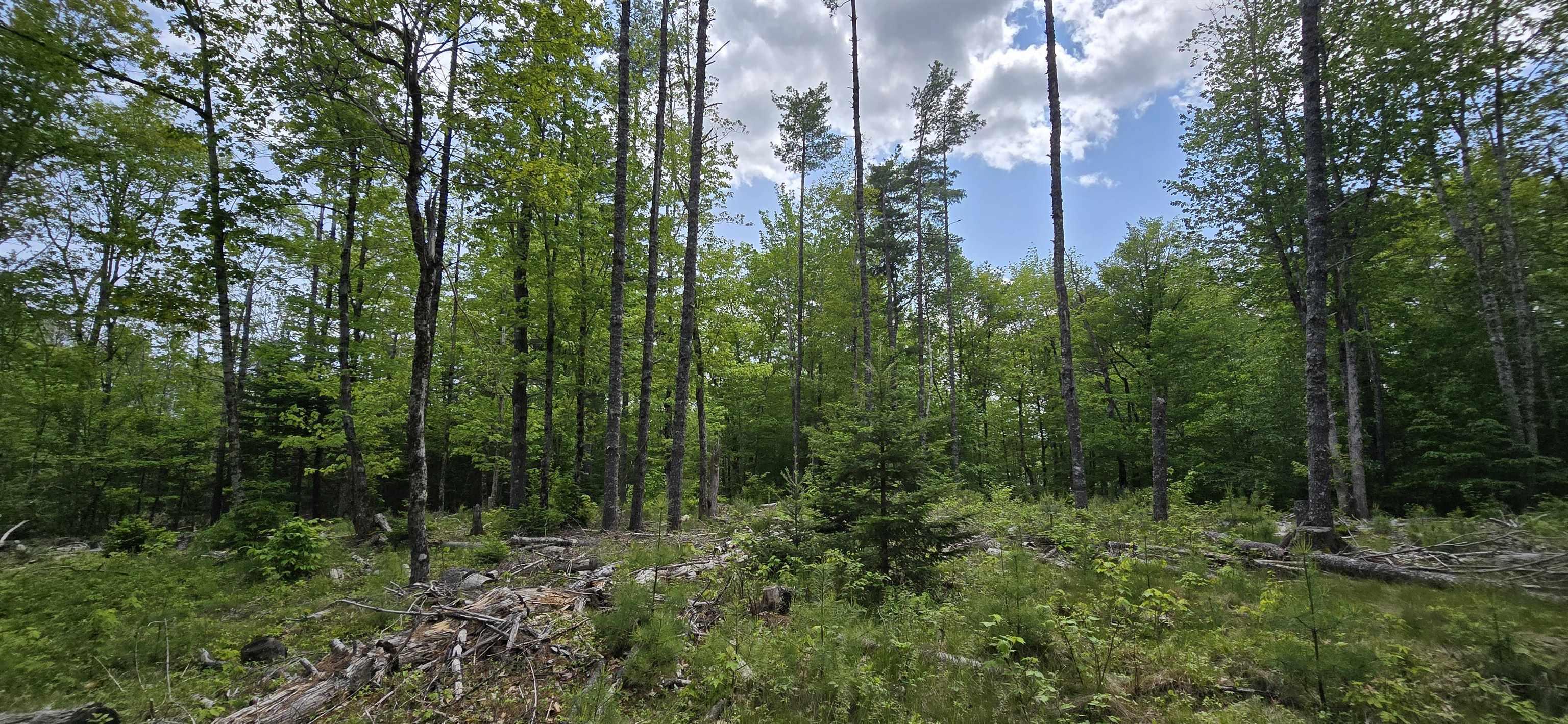 $33,900.00: Lot 24-6 East Clifford Road, East Clifford