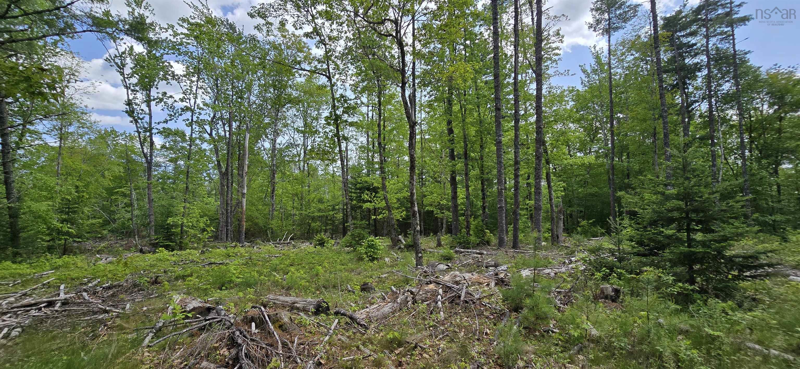 $33,900.00: Lot 24-6 East Clifford Road, East Clifford