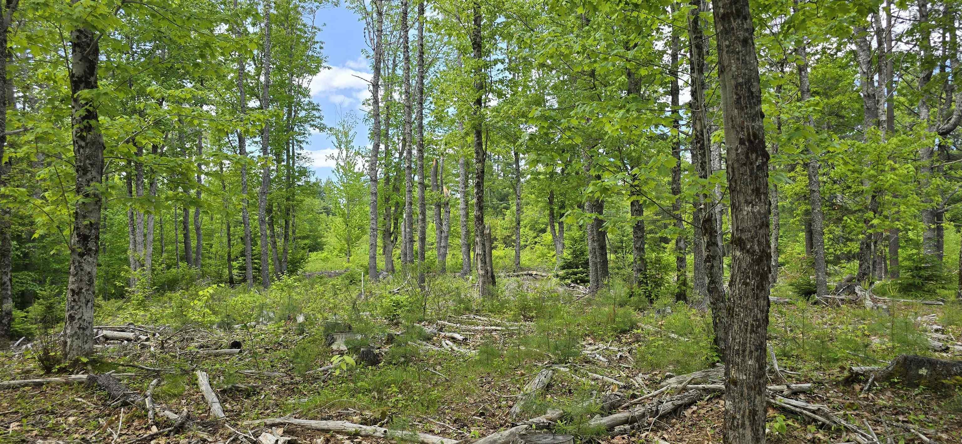 $33,900.00: Lot 24-6 East Clifford Road, East Clifford