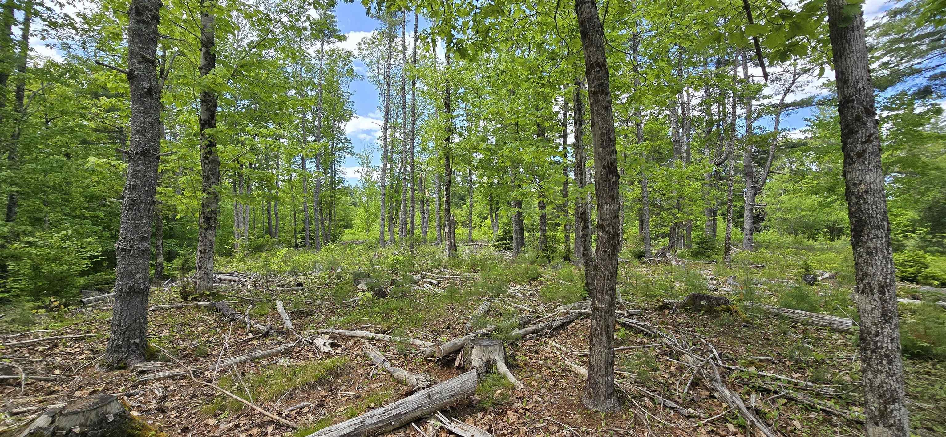 $33,900.00: Lot 24-6 East Clifford Road, East Clifford