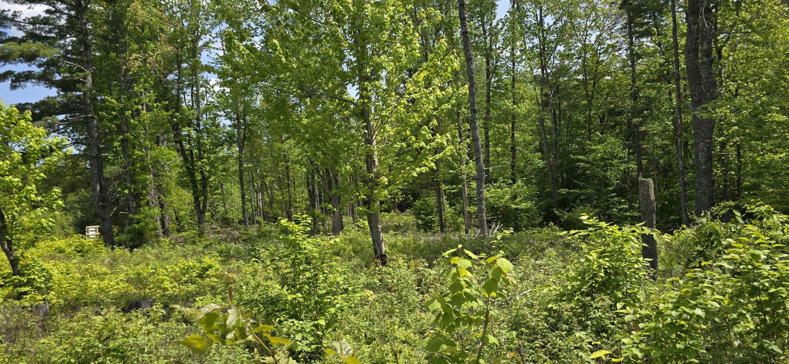 $34,900.00: Lot 24-5 East Clifford Road, East Clifford