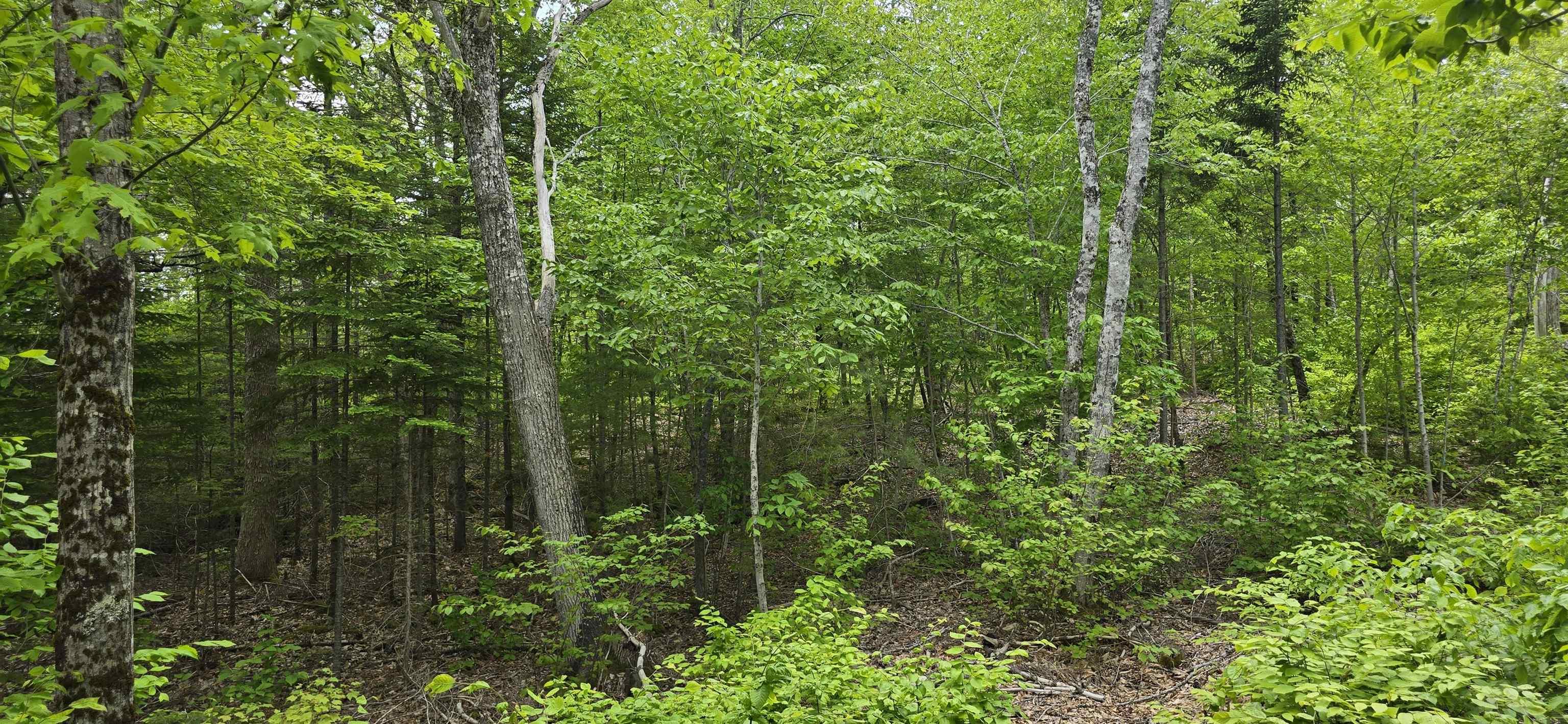 $34,900.00: Lot 24-5 East Clifford Road, East Clifford