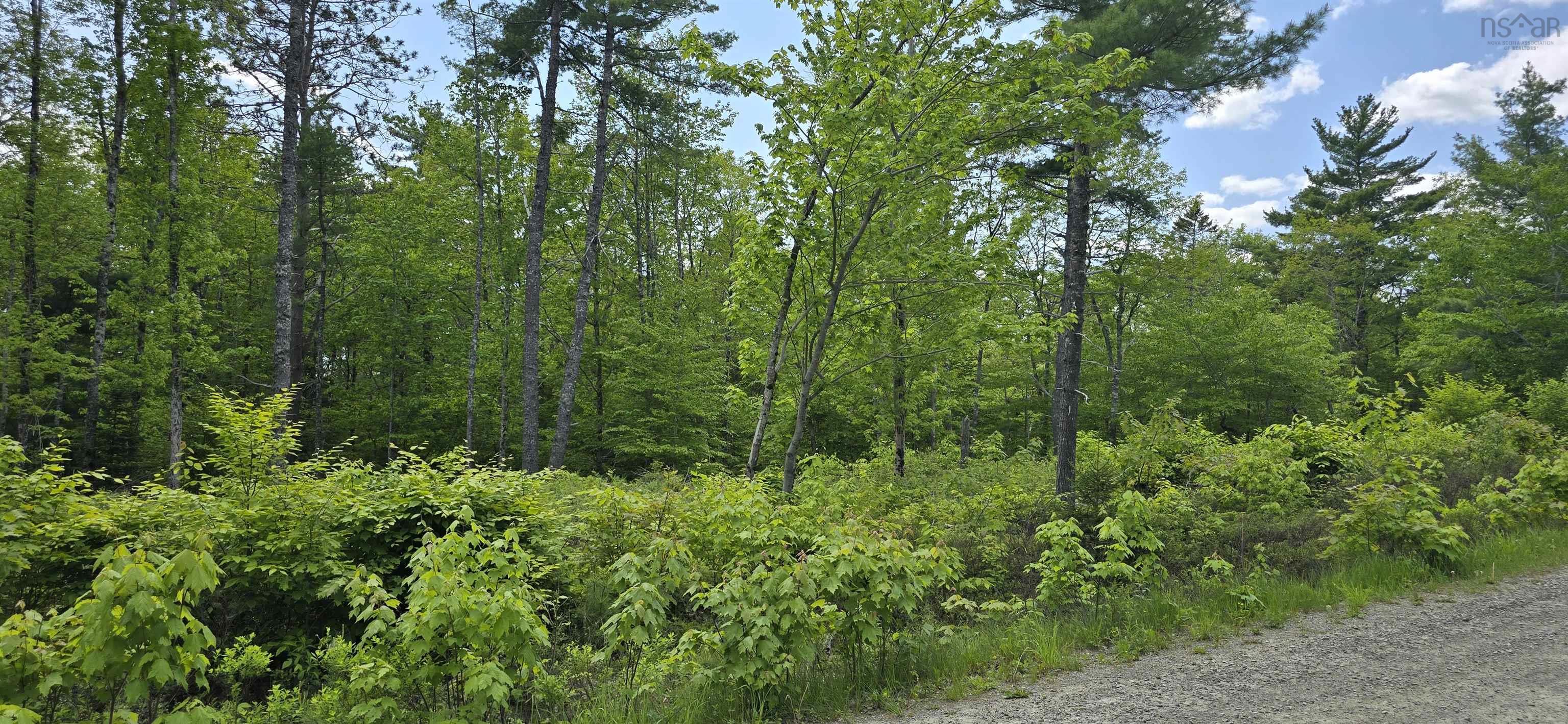 $34,900.00: Lot 24-5 East Clifford Road, East Clifford