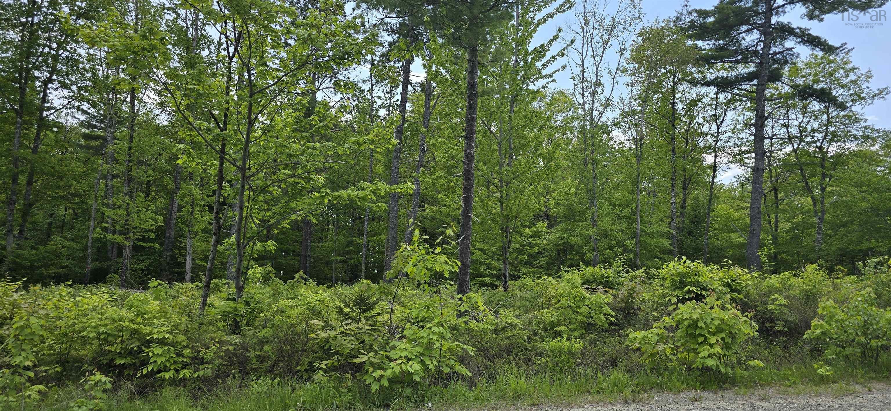 $34,900.00: Lot 24-5 East Clifford Road, East Clifford