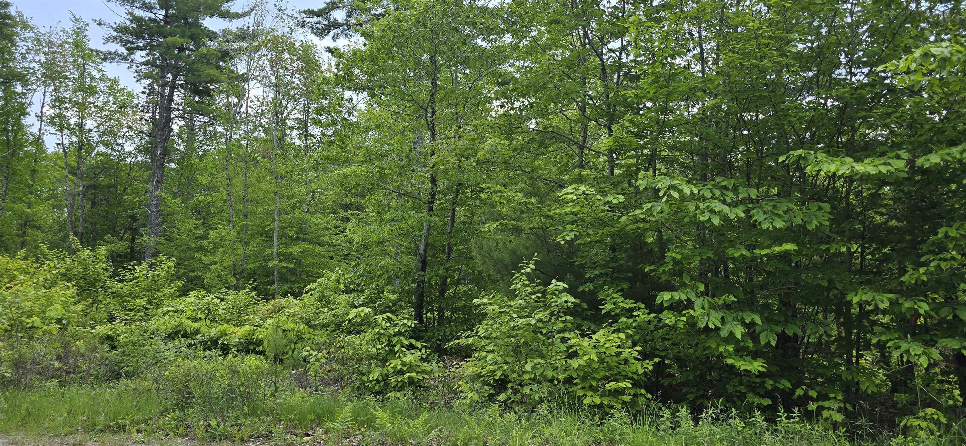$34,900.00: Lot 24-5 East Clifford Road, East Clifford