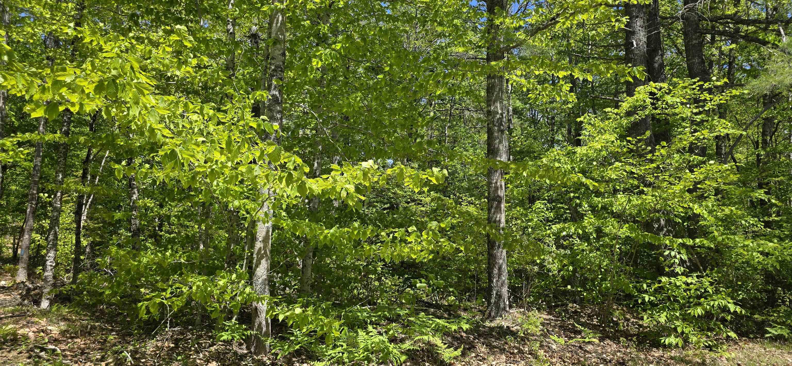$34,900.00: Lot 24-5 East Clifford Road, East Clifford