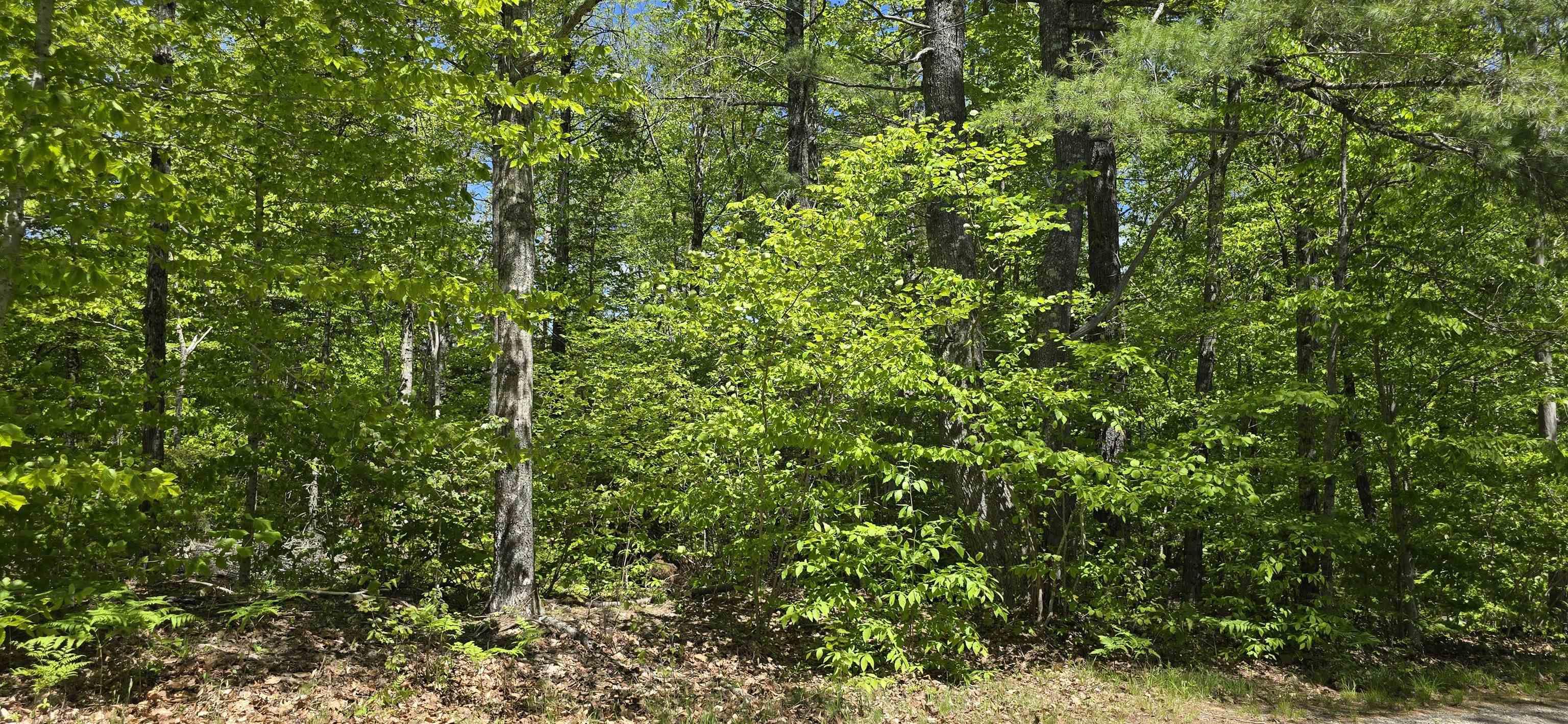 $34,900.00: Lot 24-5 East Clifford Road, East Clifford