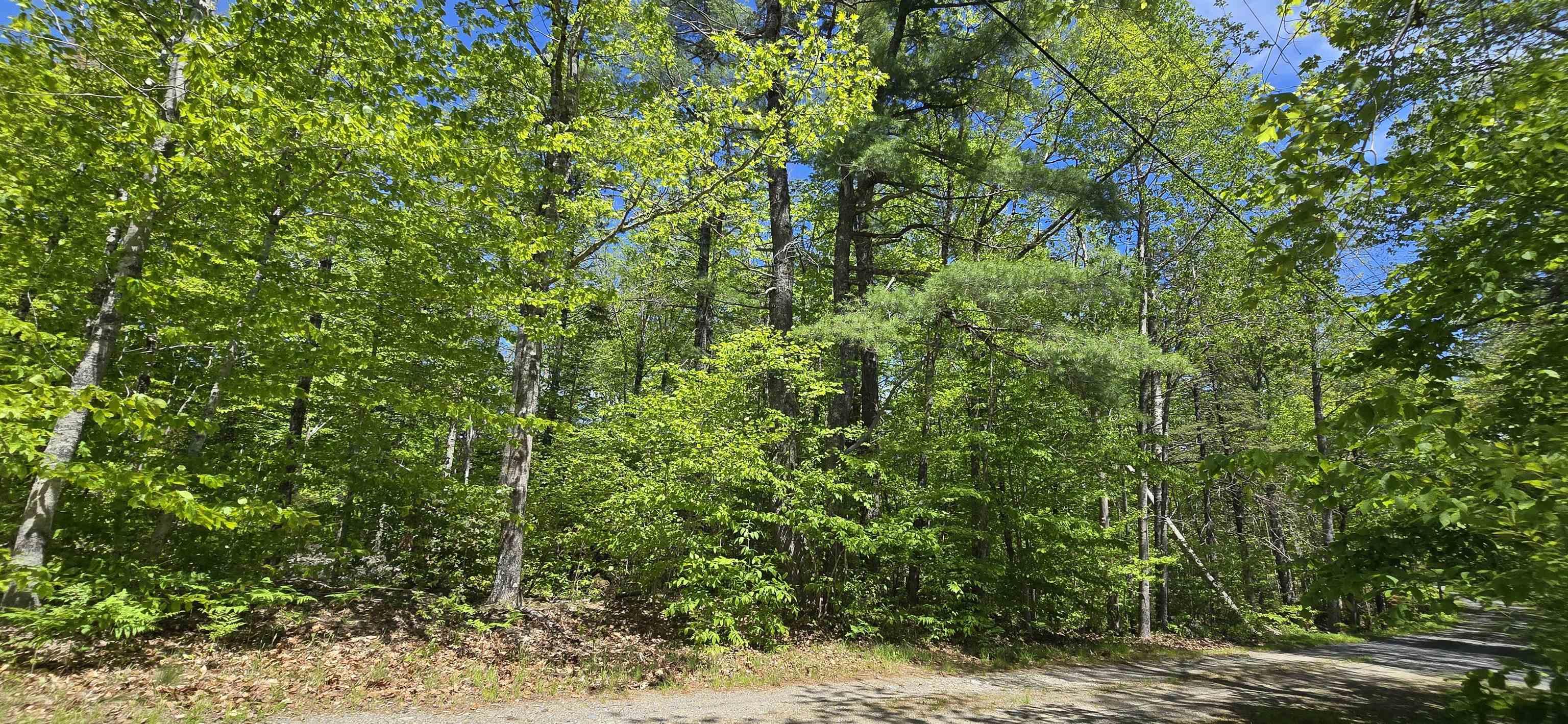 $34,900.00: Lot 24-5 East Clifford Road, East Clifford