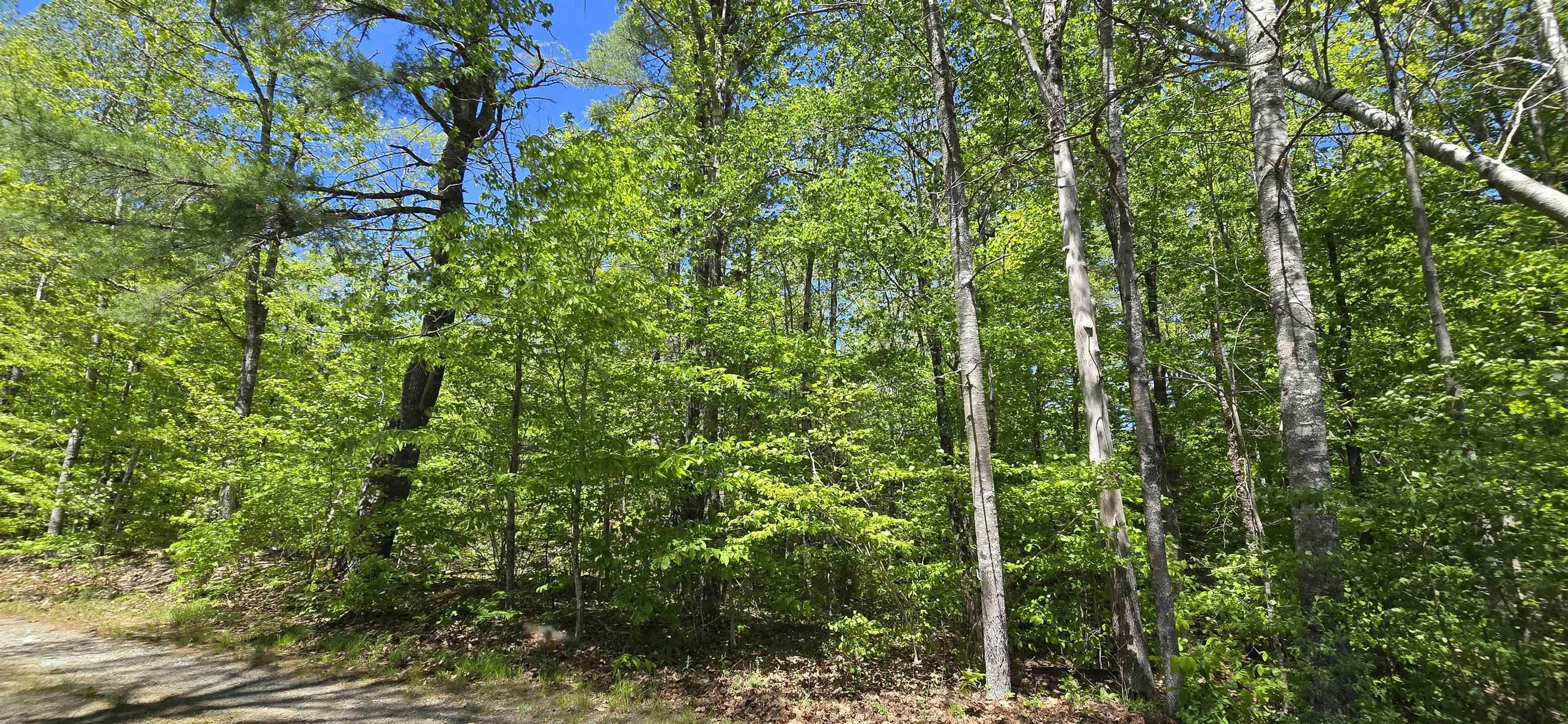$34,900.00: Lot 24-5 East Clifford Road, East Clifford