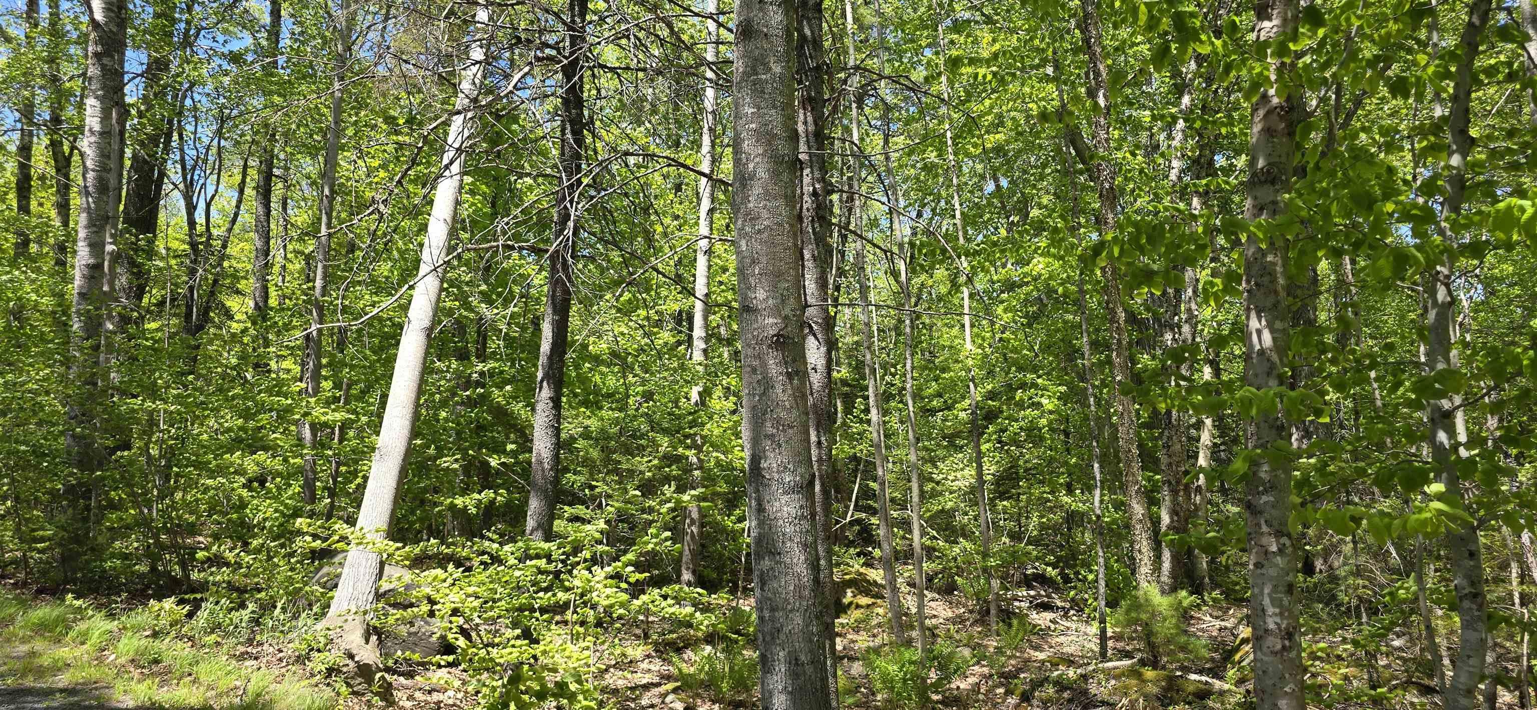 $34,900.00: Lot 24-5 East Clifford Road, East Clifford
