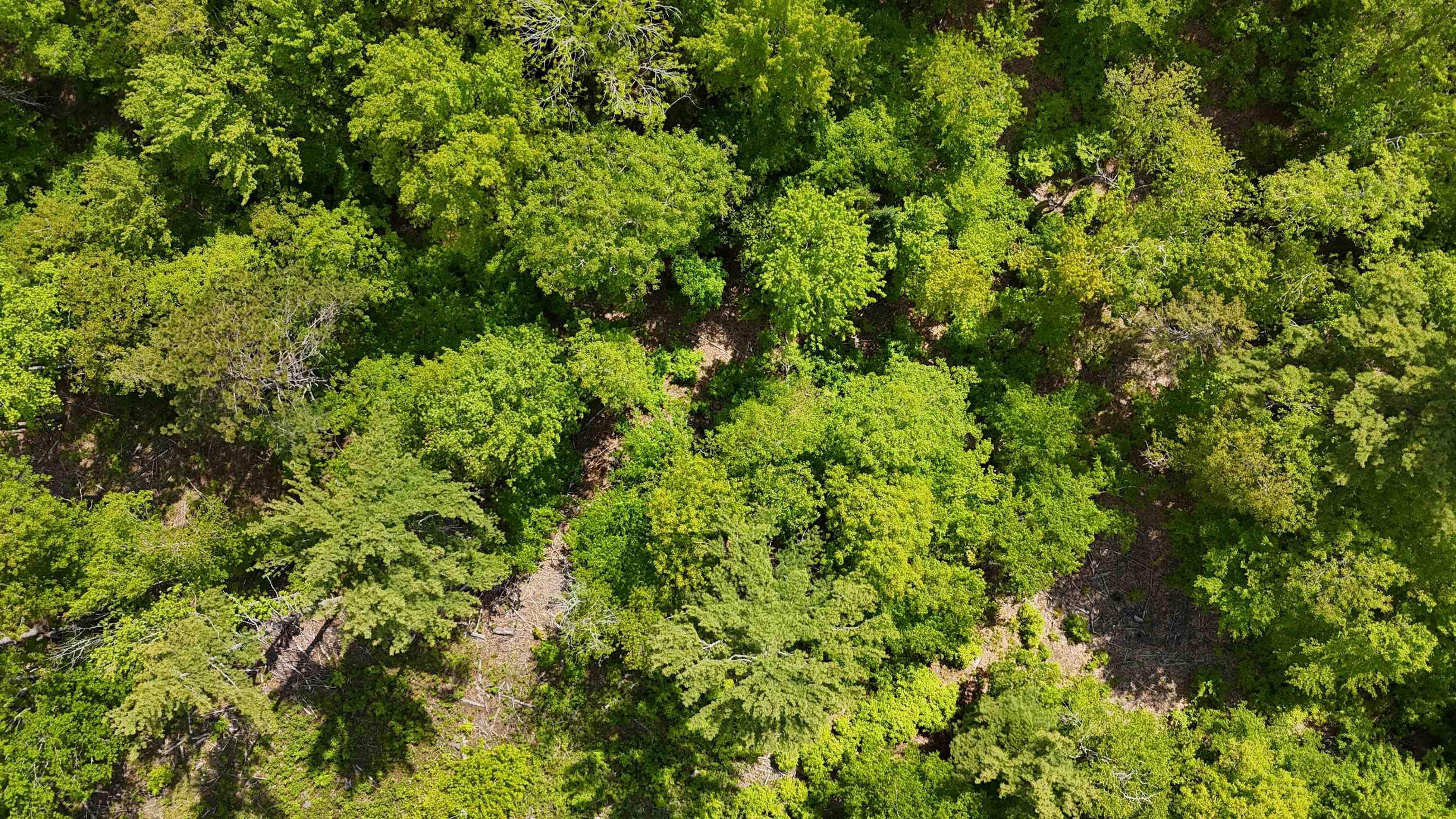$34,900.00: Lot 24-5 East Clifford Road, East Clifford