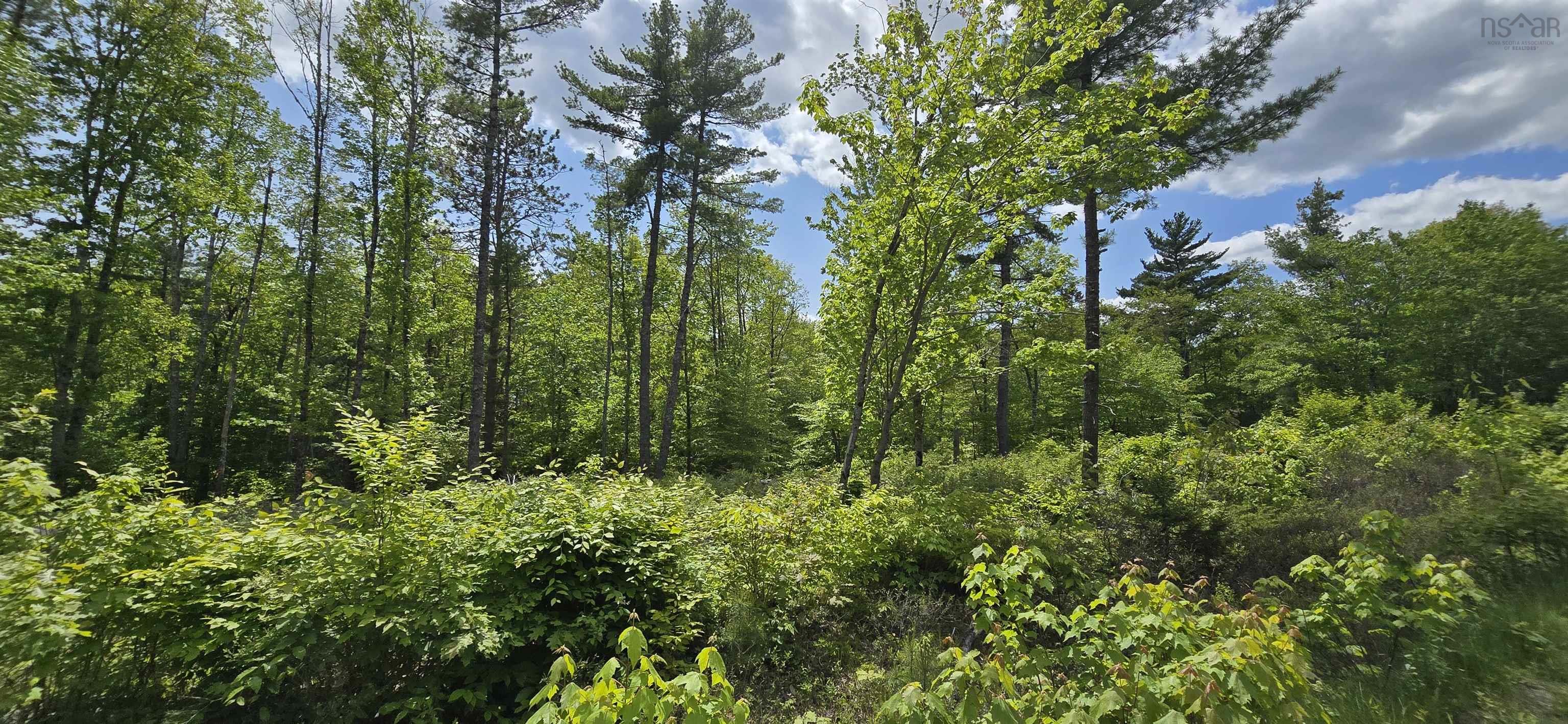$34,900.00: Lot 24-5 East Clifford Road, East Clifford