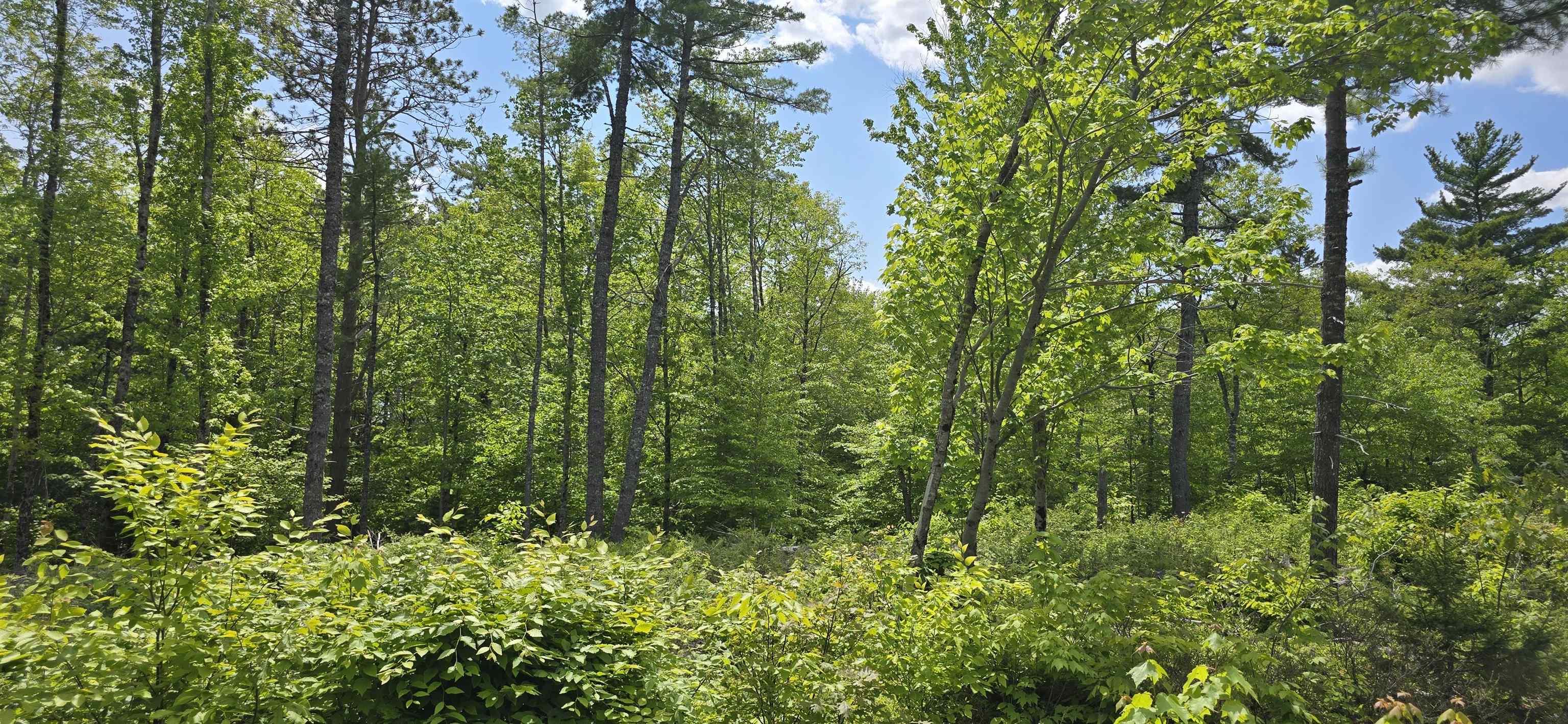 $34,900.00: Lot 24-5 East Clifford Road, East Clifford