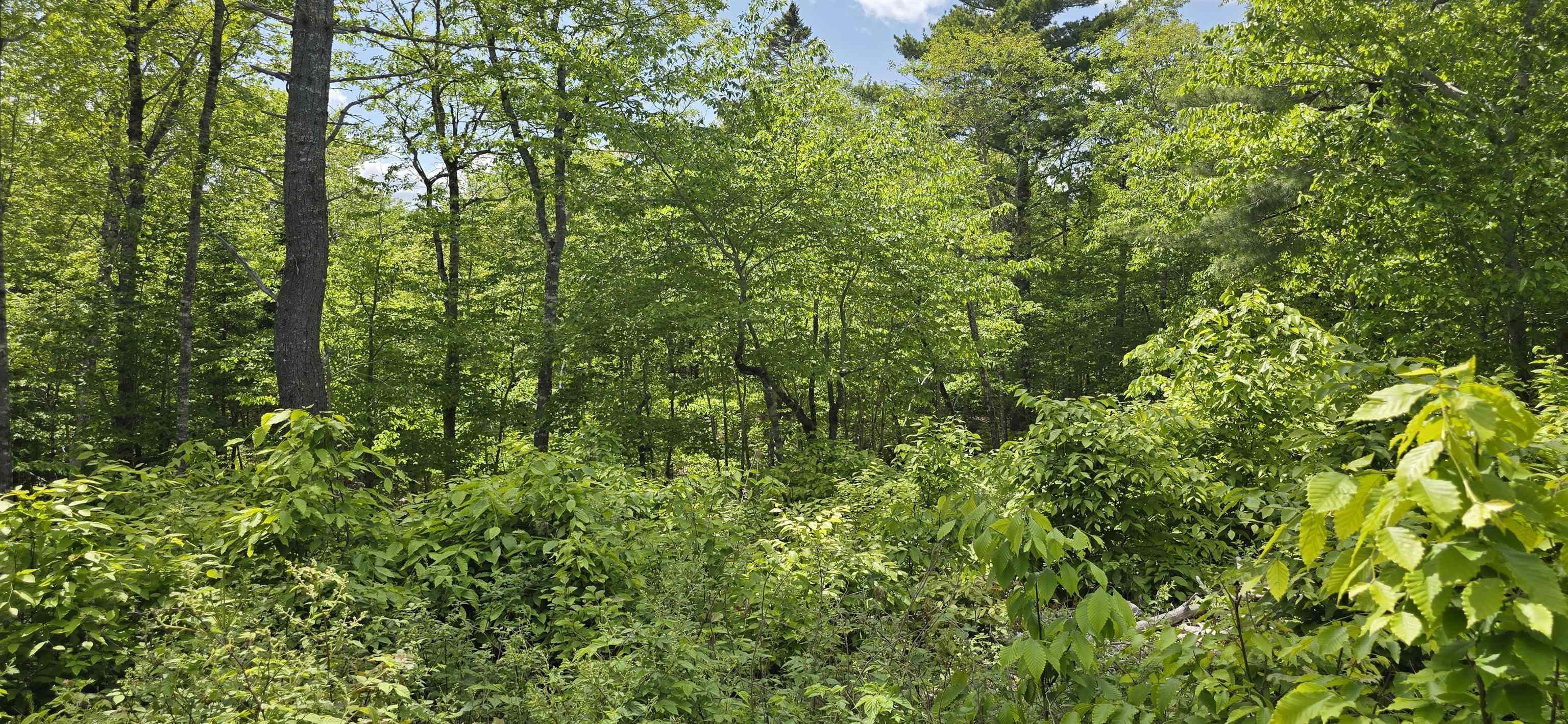 $34,900.00: Lot 24-5 East Clifford Road, East Clifford