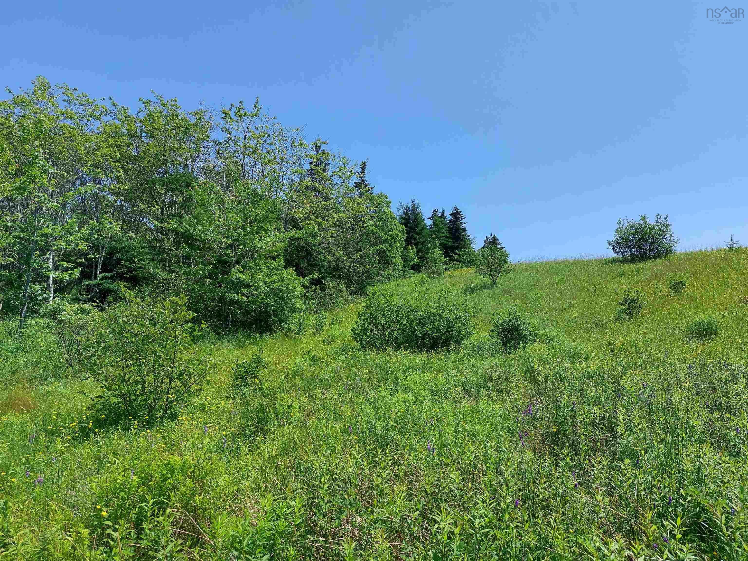 $45,000.00: Lot 2 Grand Mira Rd S, Grand Mira South