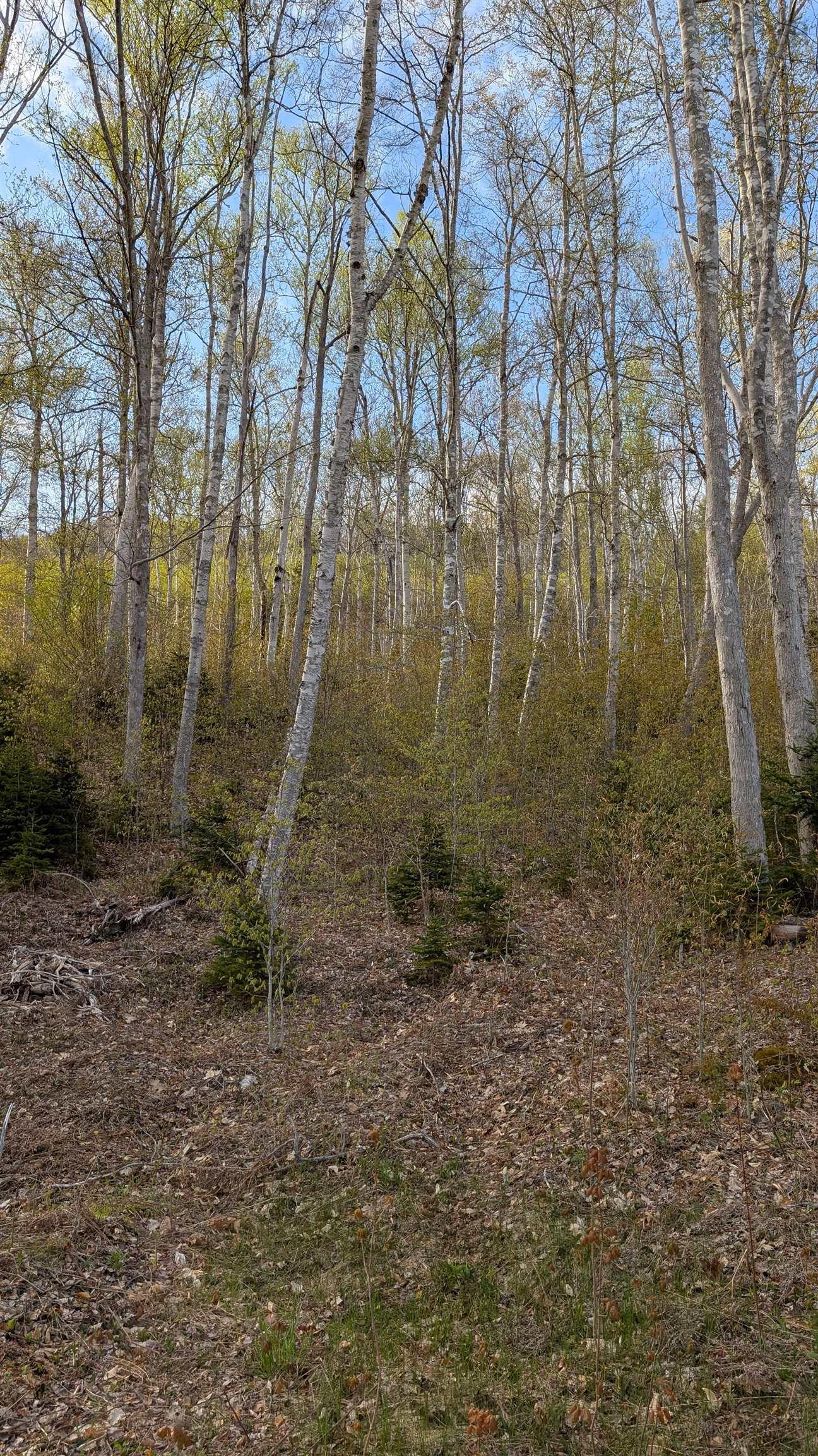 $599,000.00: Marble Mountain Road, Lime Hill