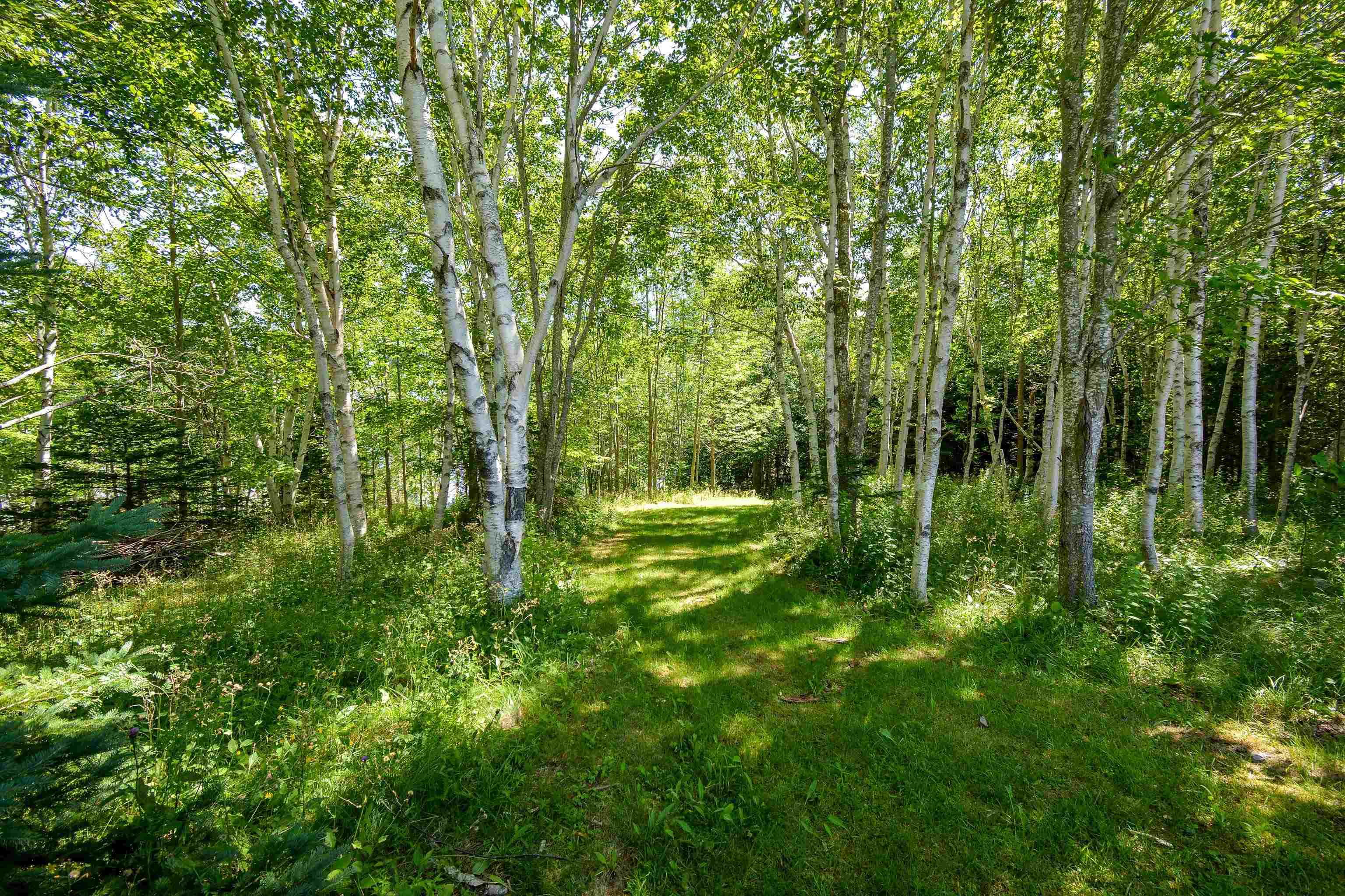 $1,300,000.00: 305 Militia Point Road, Militia Point