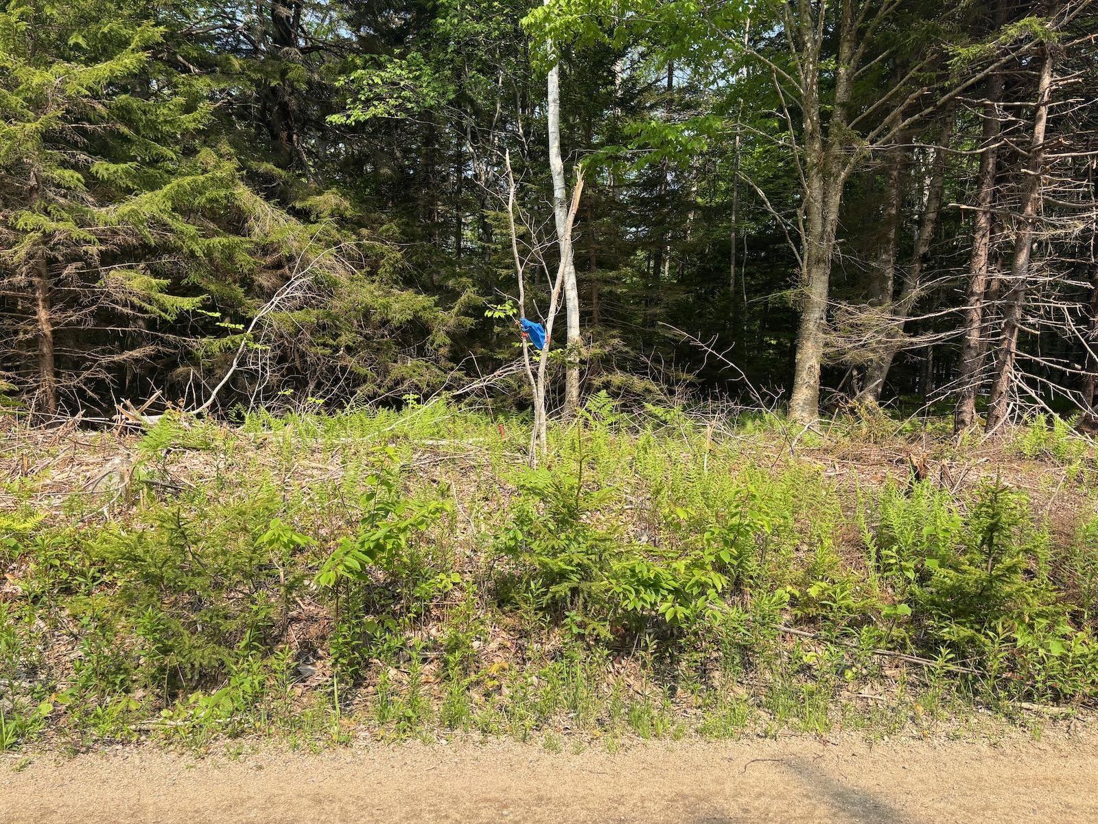 $29,900.00: Lot Grosses Coques Road, Grosses Coques