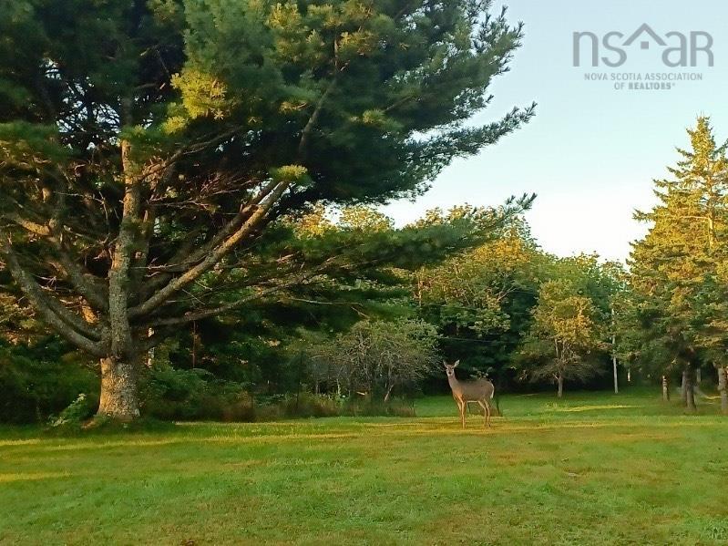 $829,000.00: 65 Shore Road, Mount Pleasant