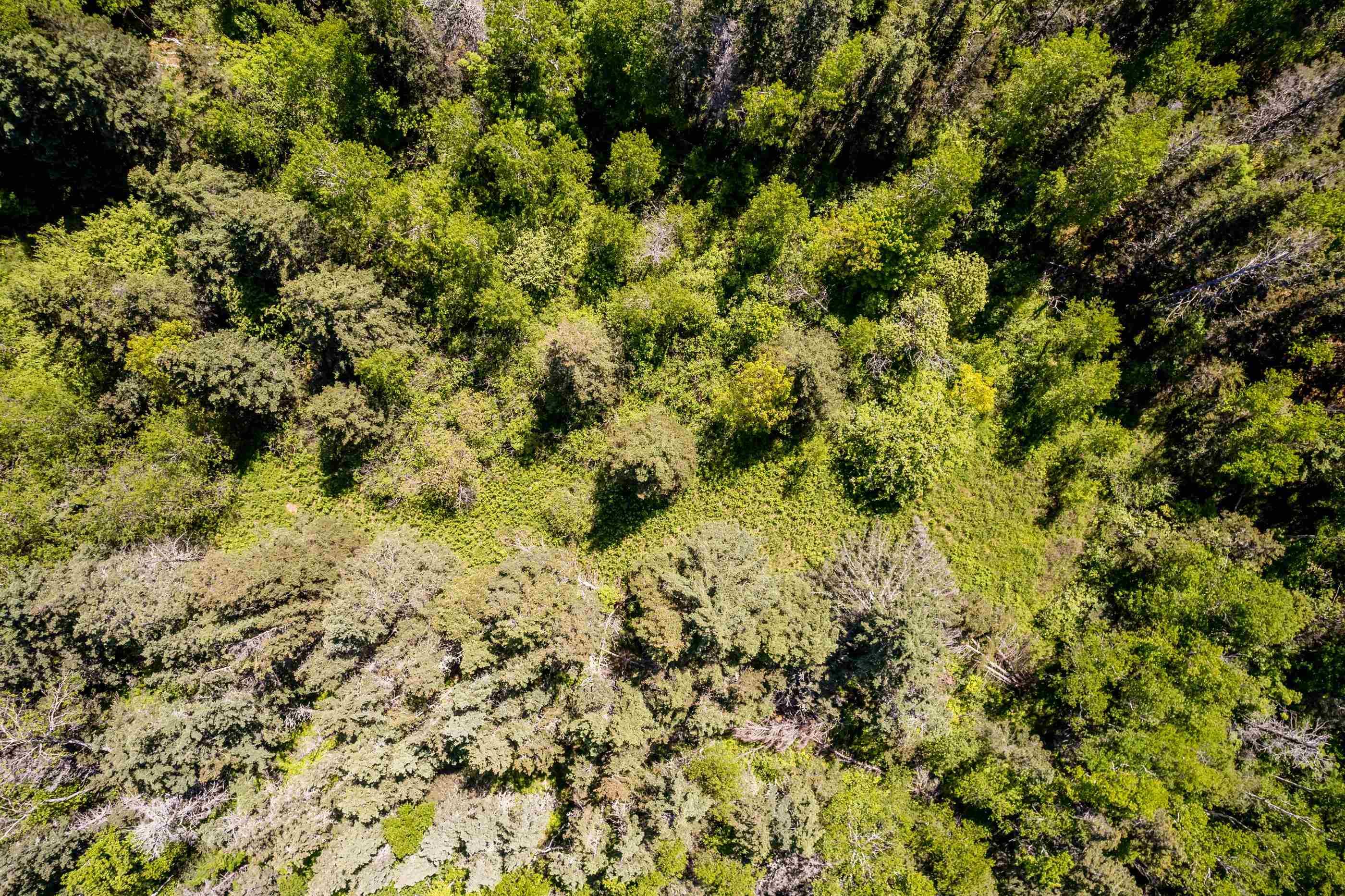 $224,900.00: 7.9 Acres Shore Road, Ogilvie