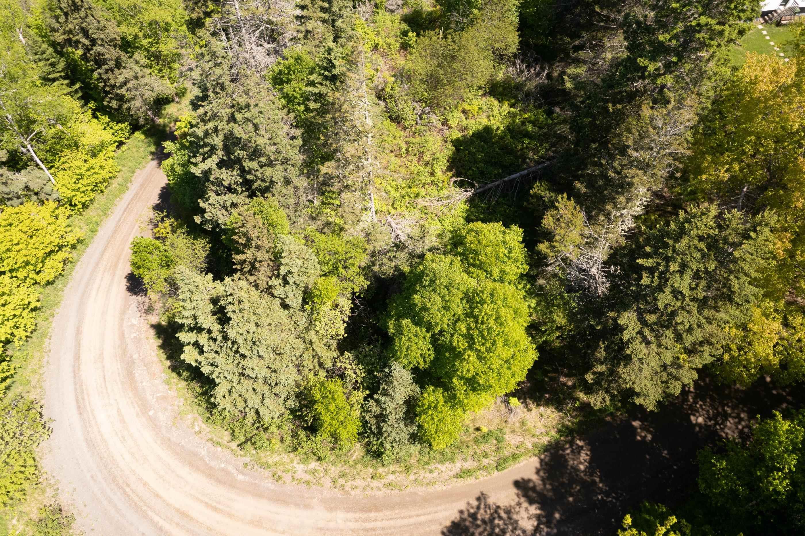 $224,900.00: 7.9 Acres Shore Road, Ogilvie