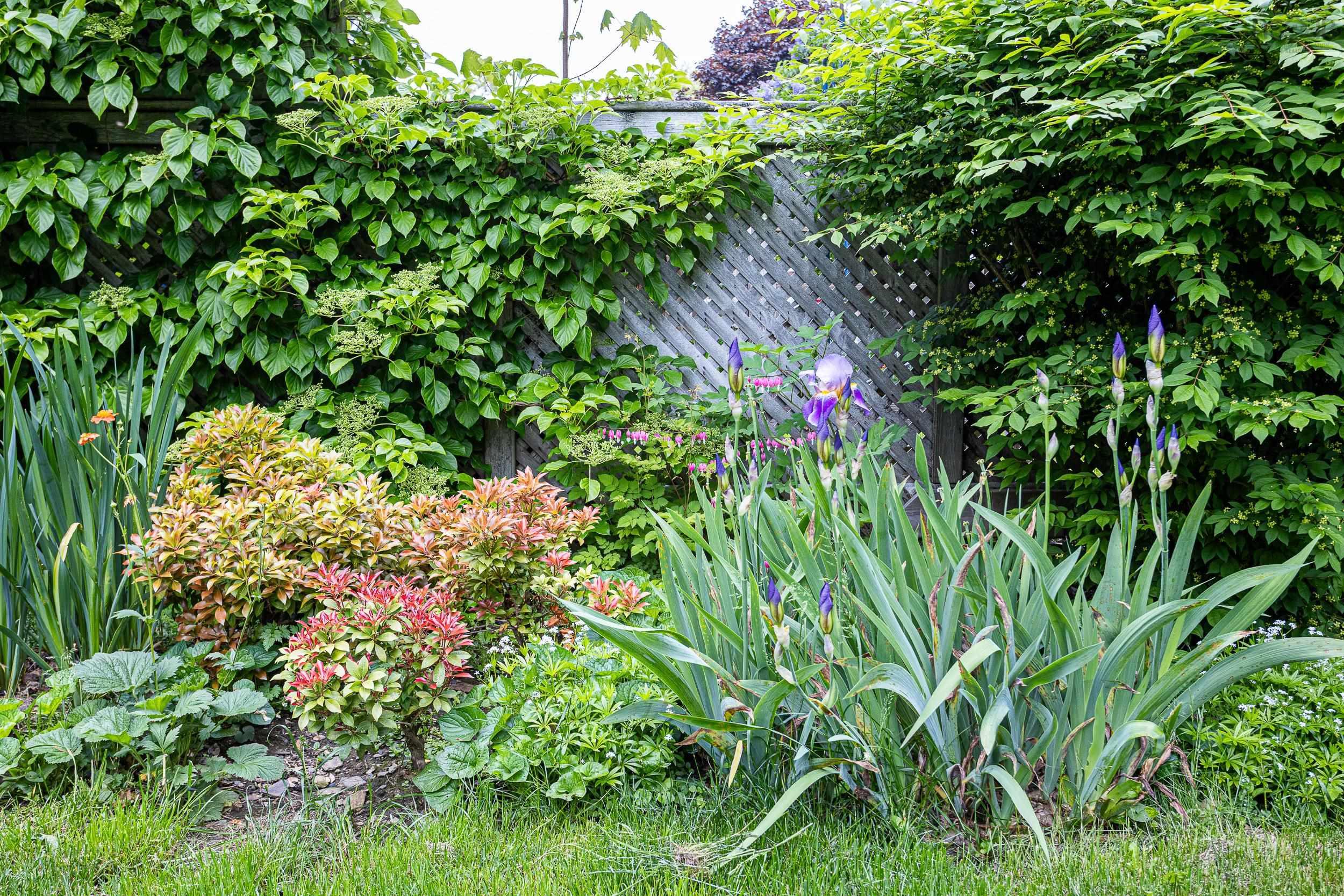 $599,000.00: 2069 Kline Street, Halifax