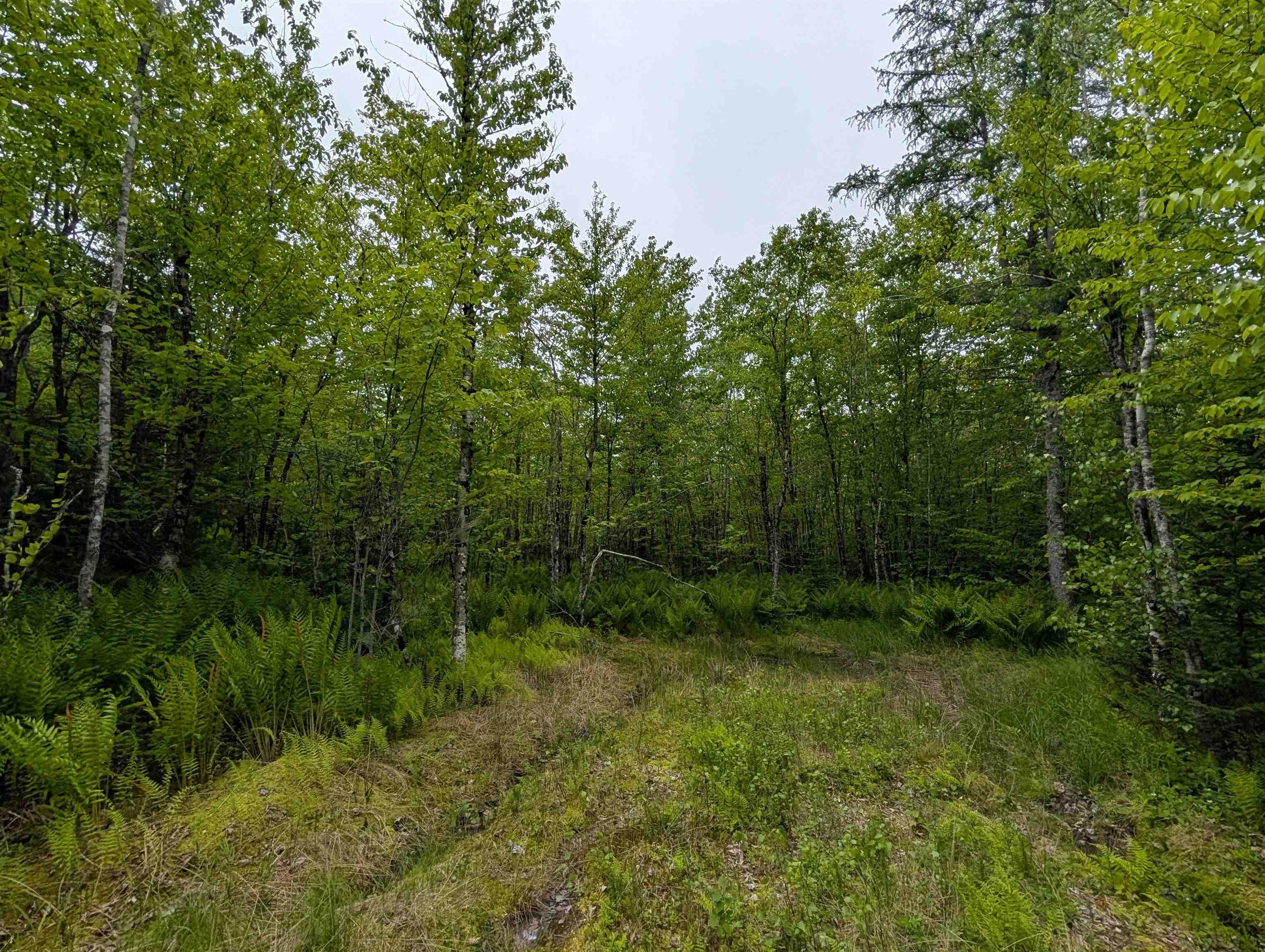 $189,900.00: CM2J Lot CM2J Mackenzie Lane, Mount Uniacke