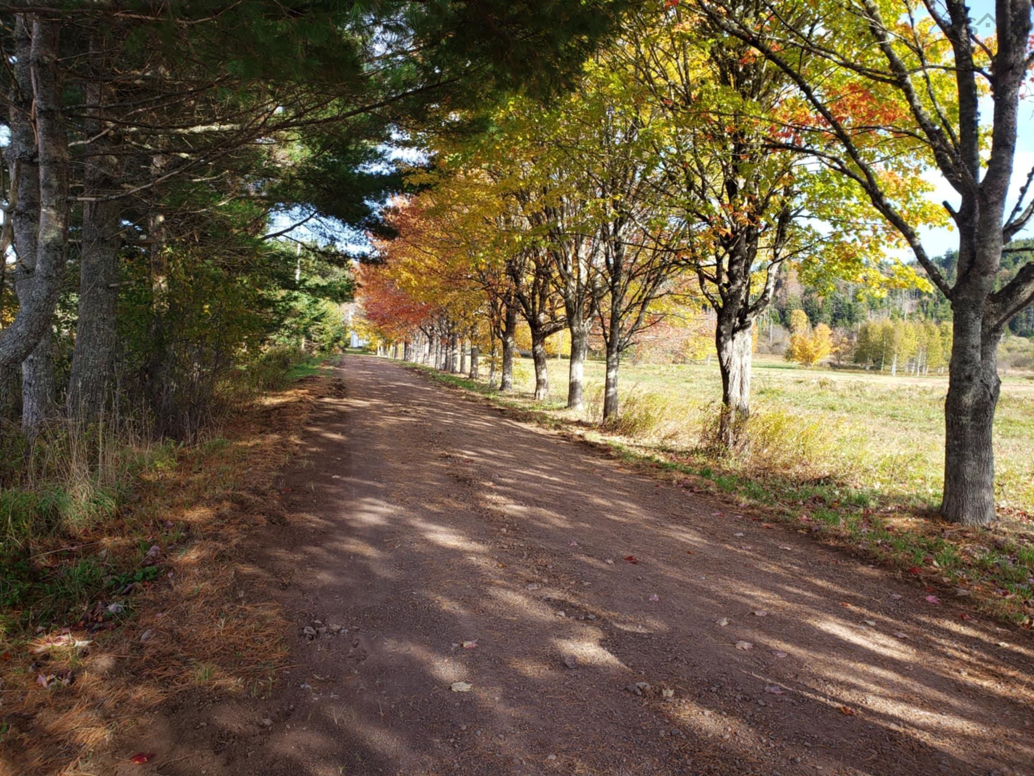 $270,000.00: 44 Confederation Road, Diligent River