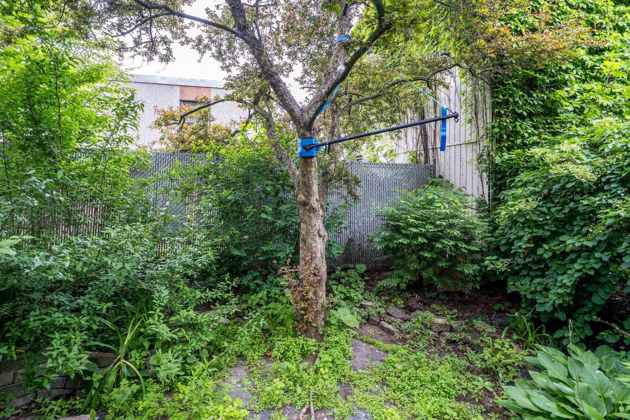 2427 Agricola Street, Halifax, NS (MLS 202514247)