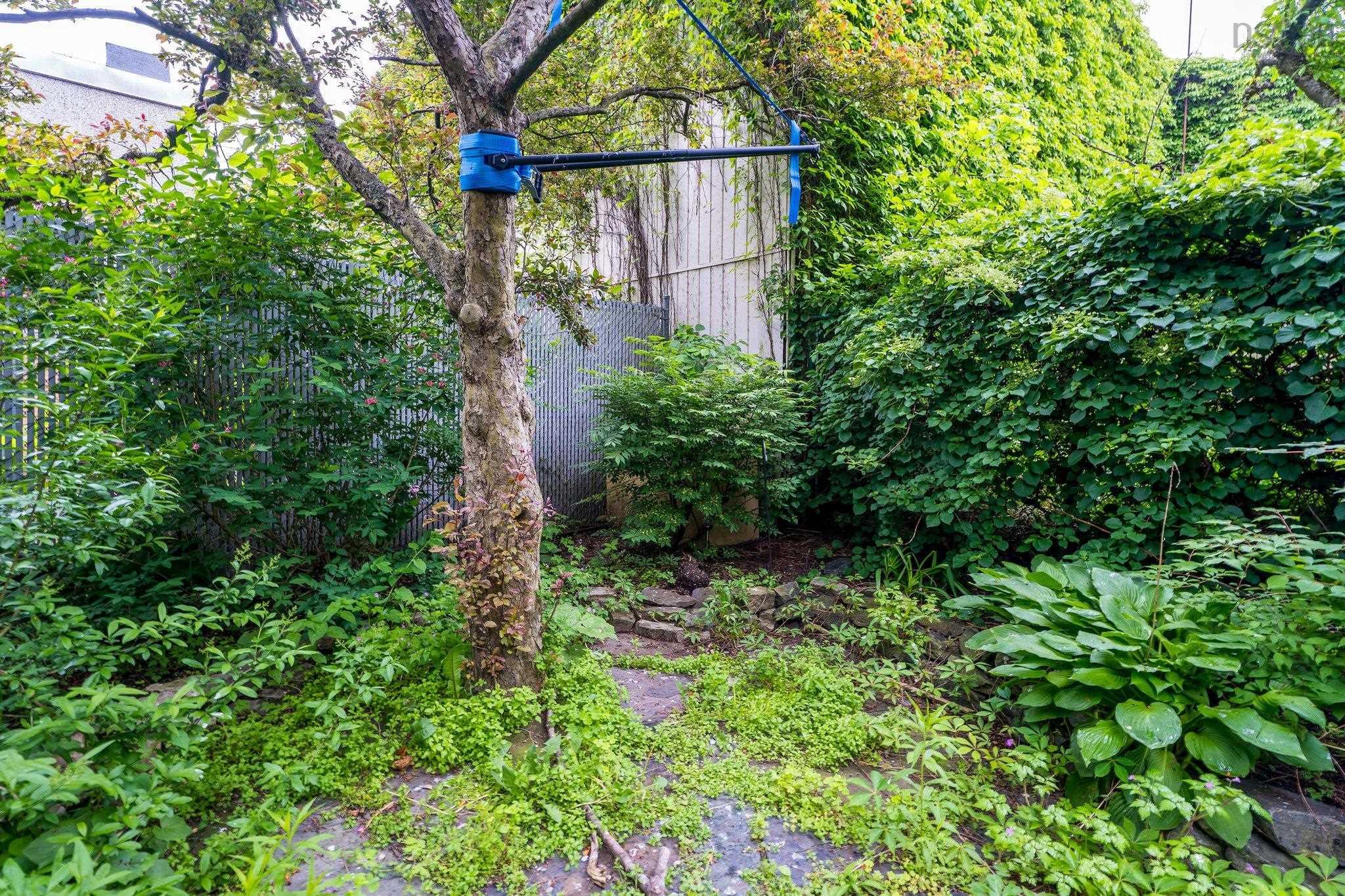 2427 Agricola Street, Halifax, NS (MLS 202514247)