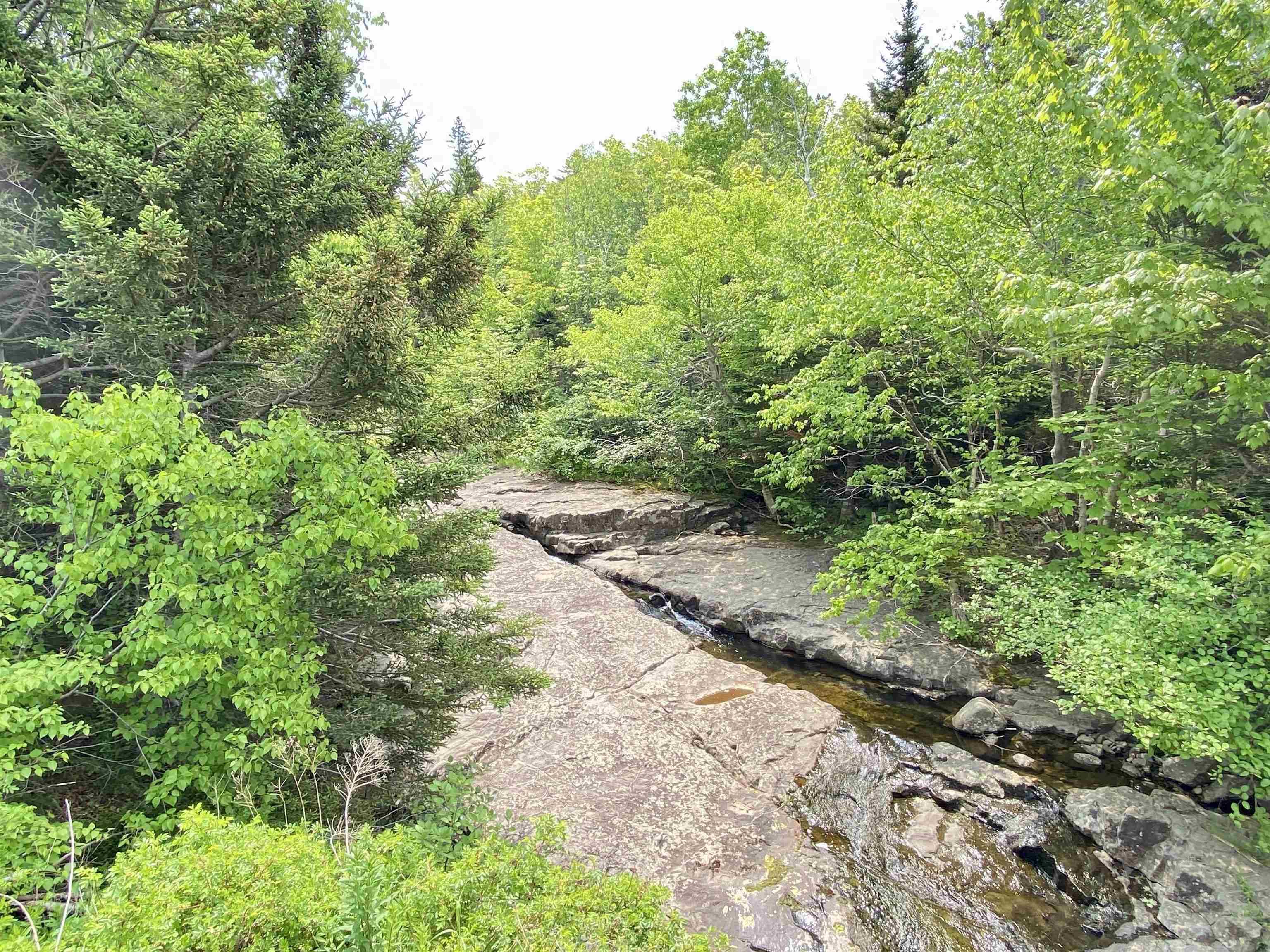 $95,000.00: Lot Shore Road W, Youngs Cove