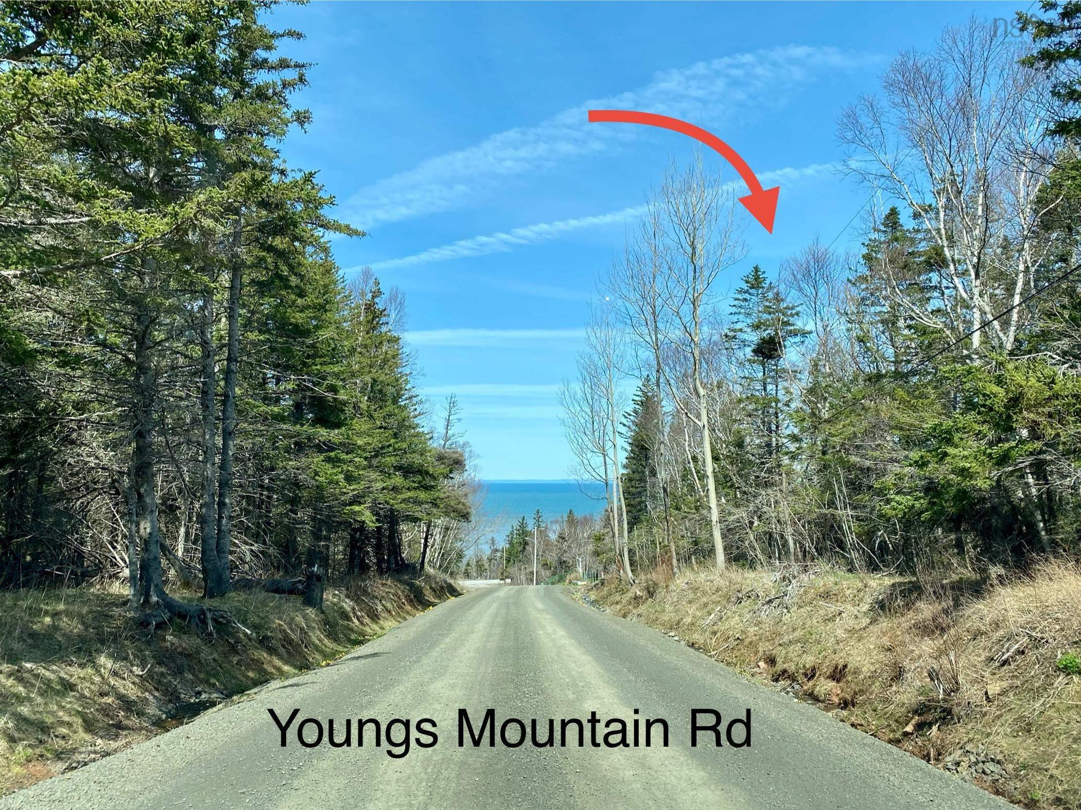 $95,000.00: Lot Shore Road W, Youngs Cove
