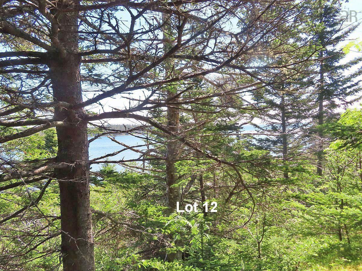 $88,920.00: Lot 12 316 Hwy (English Harbour), Cole Harbour