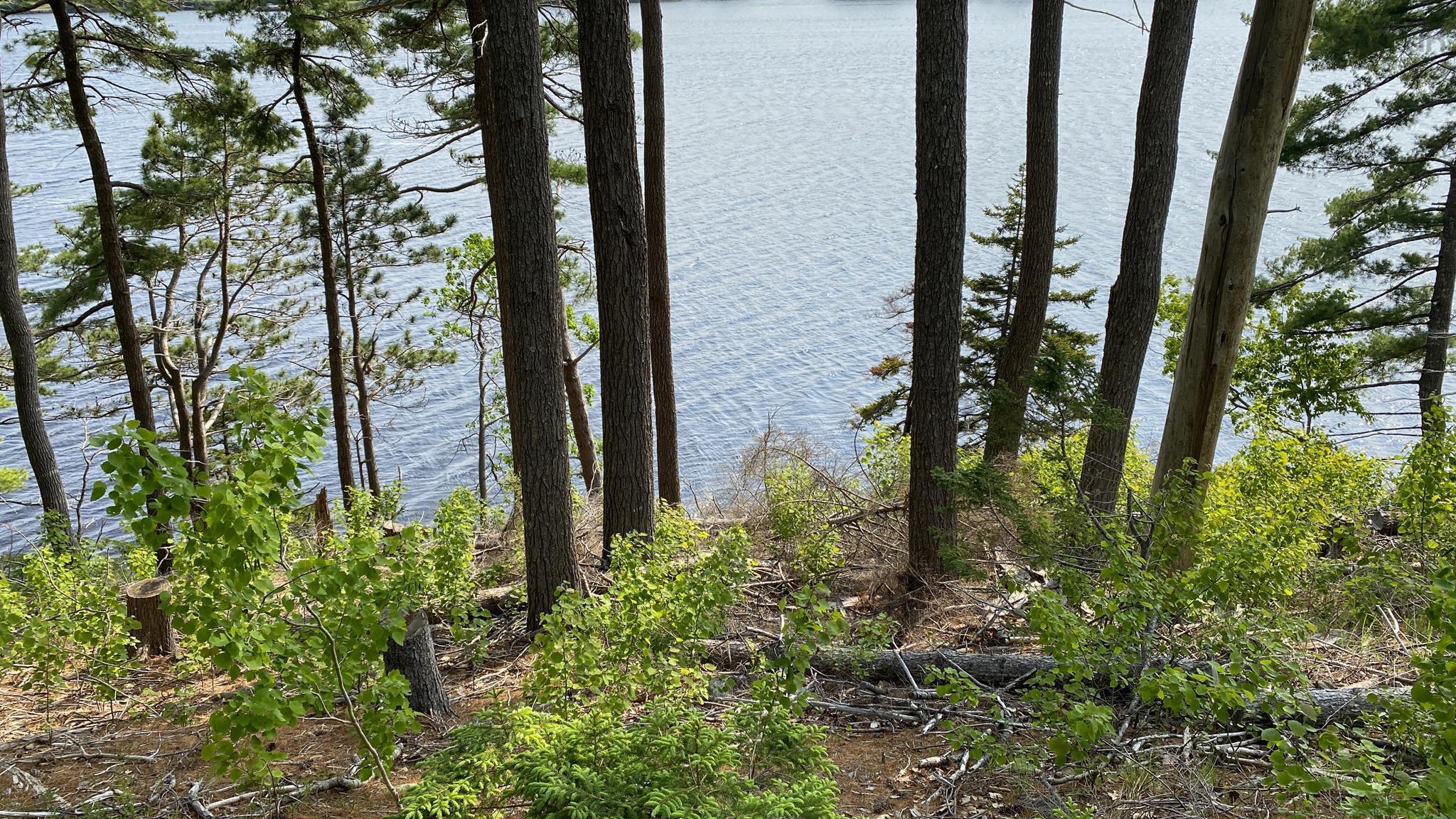 $895,000.00: 75 Wilkies Cove Road, Middle Lahave