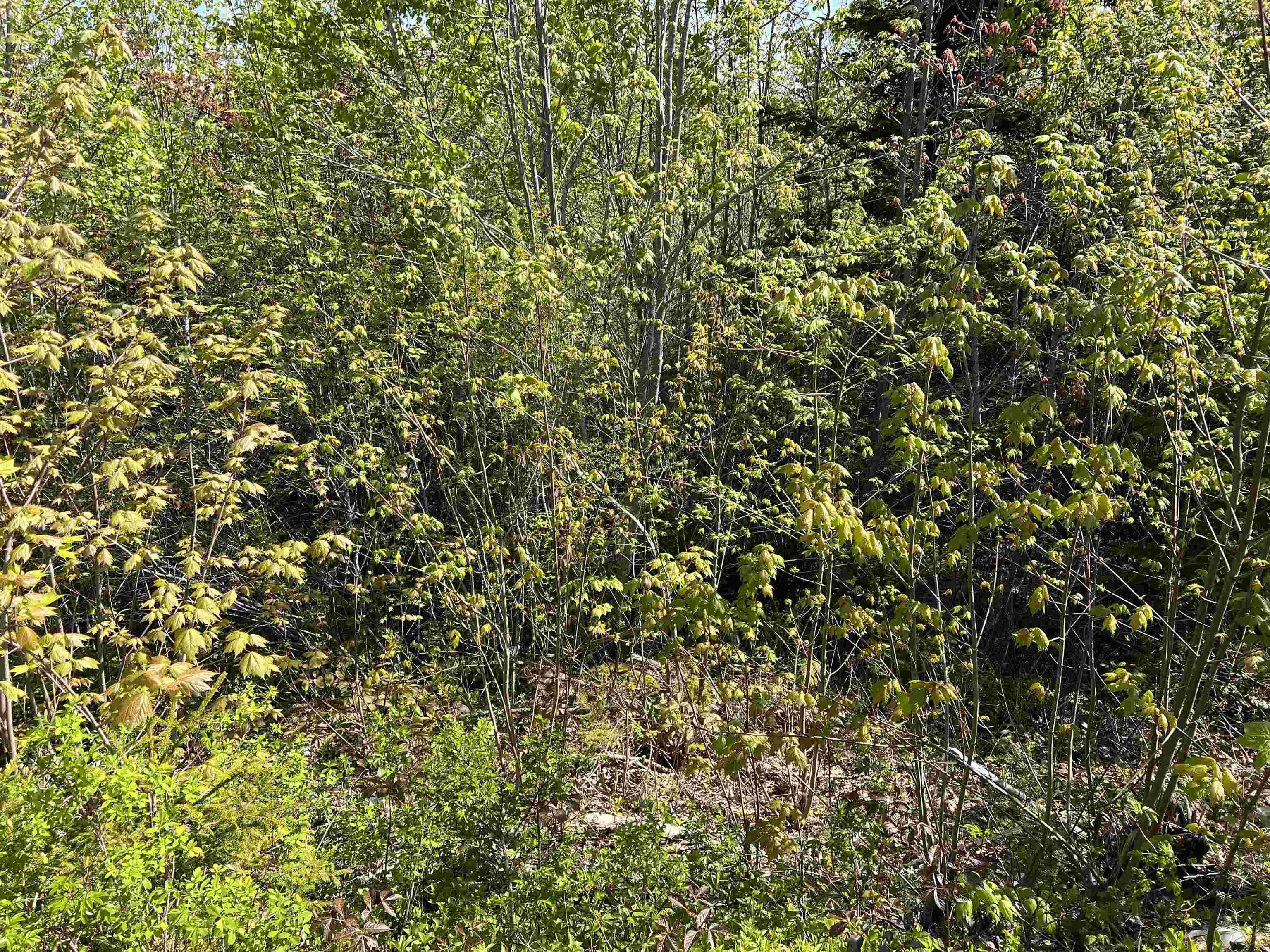 $79,000.00: Lot 2A Highway 329, Deep Cove