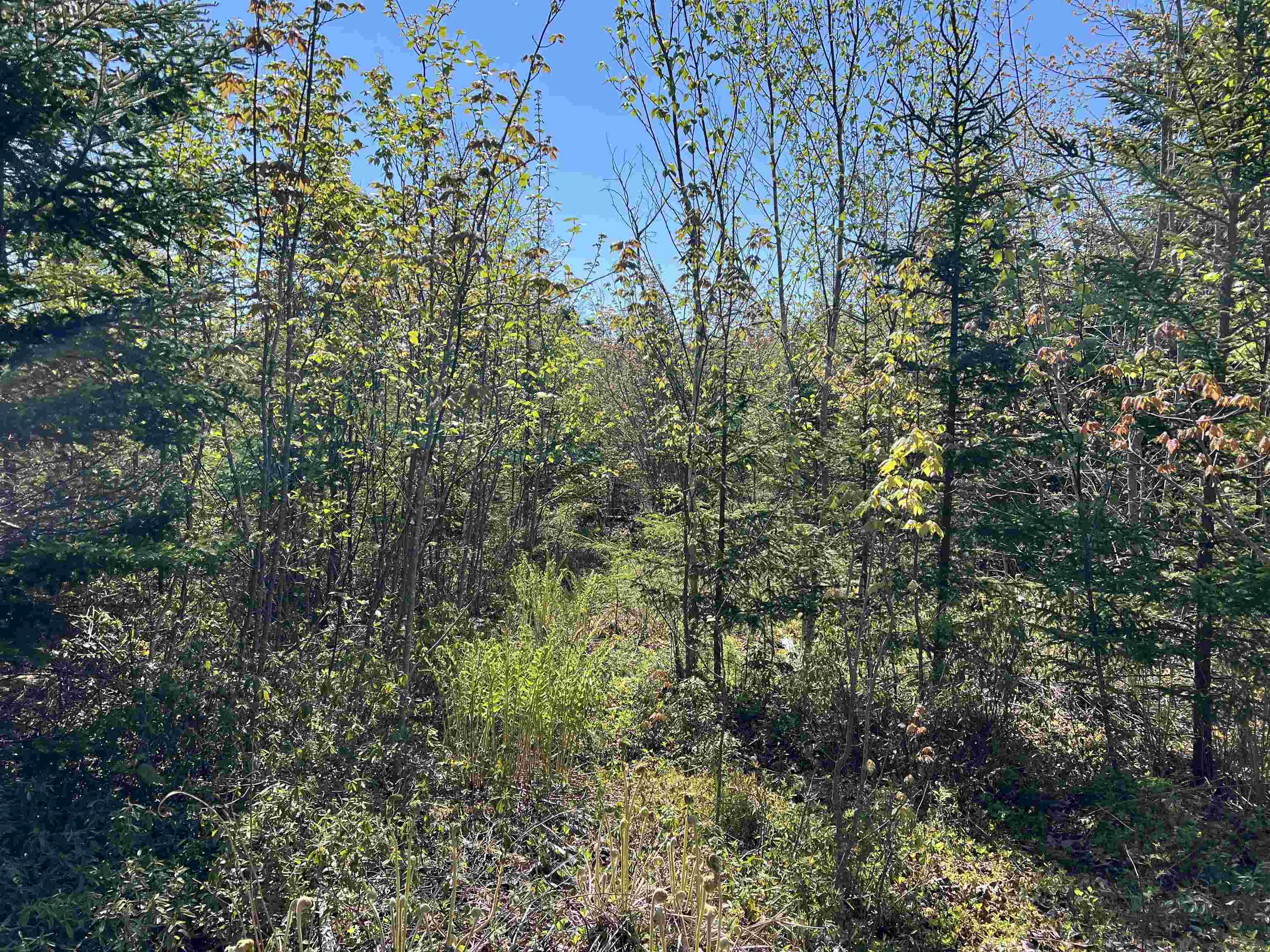$79,000.00: Lot 2A Highway 329, Deep Cove
