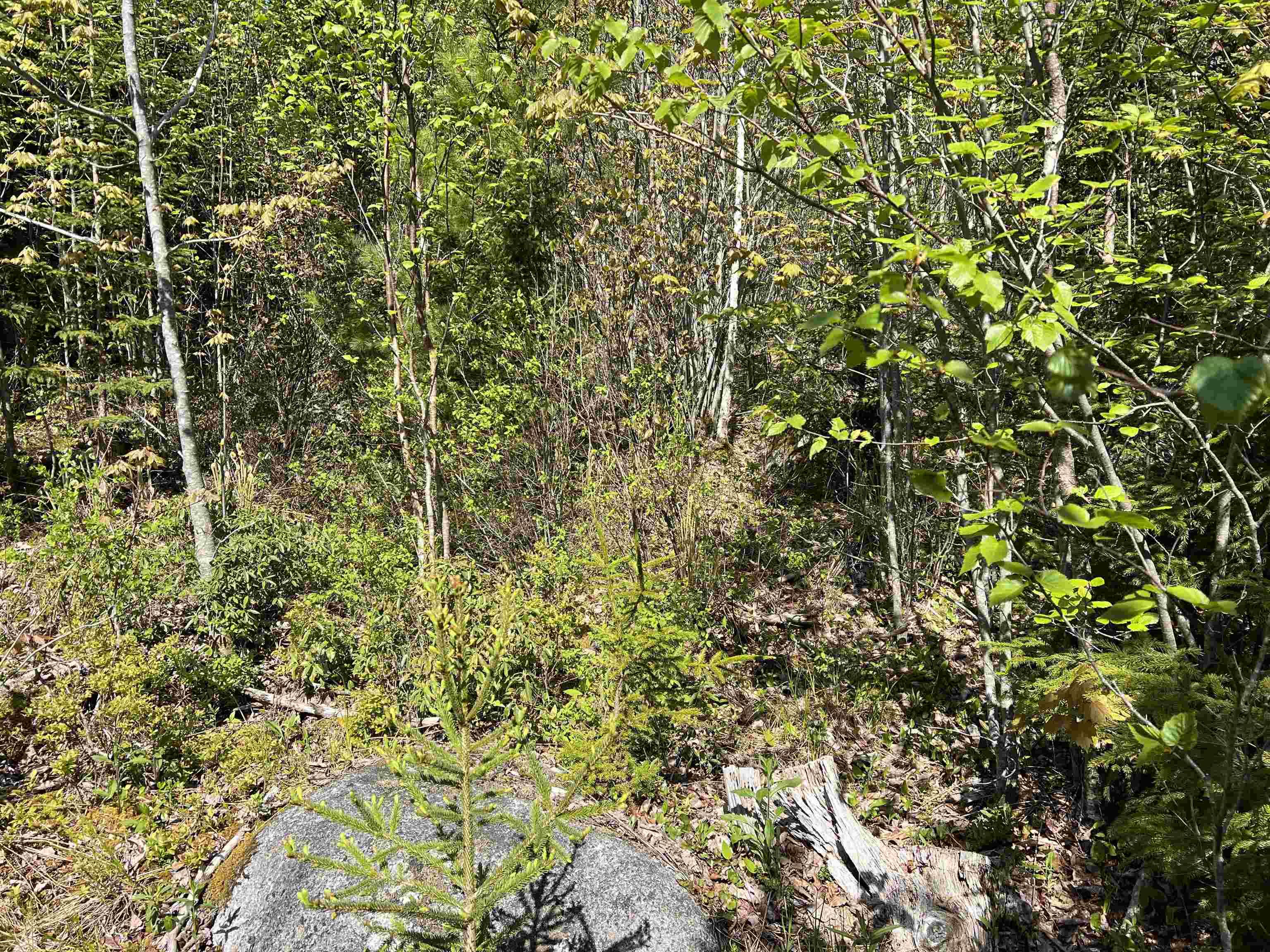 $79,000.00: Lot 2A Highway 329, Deep Cove