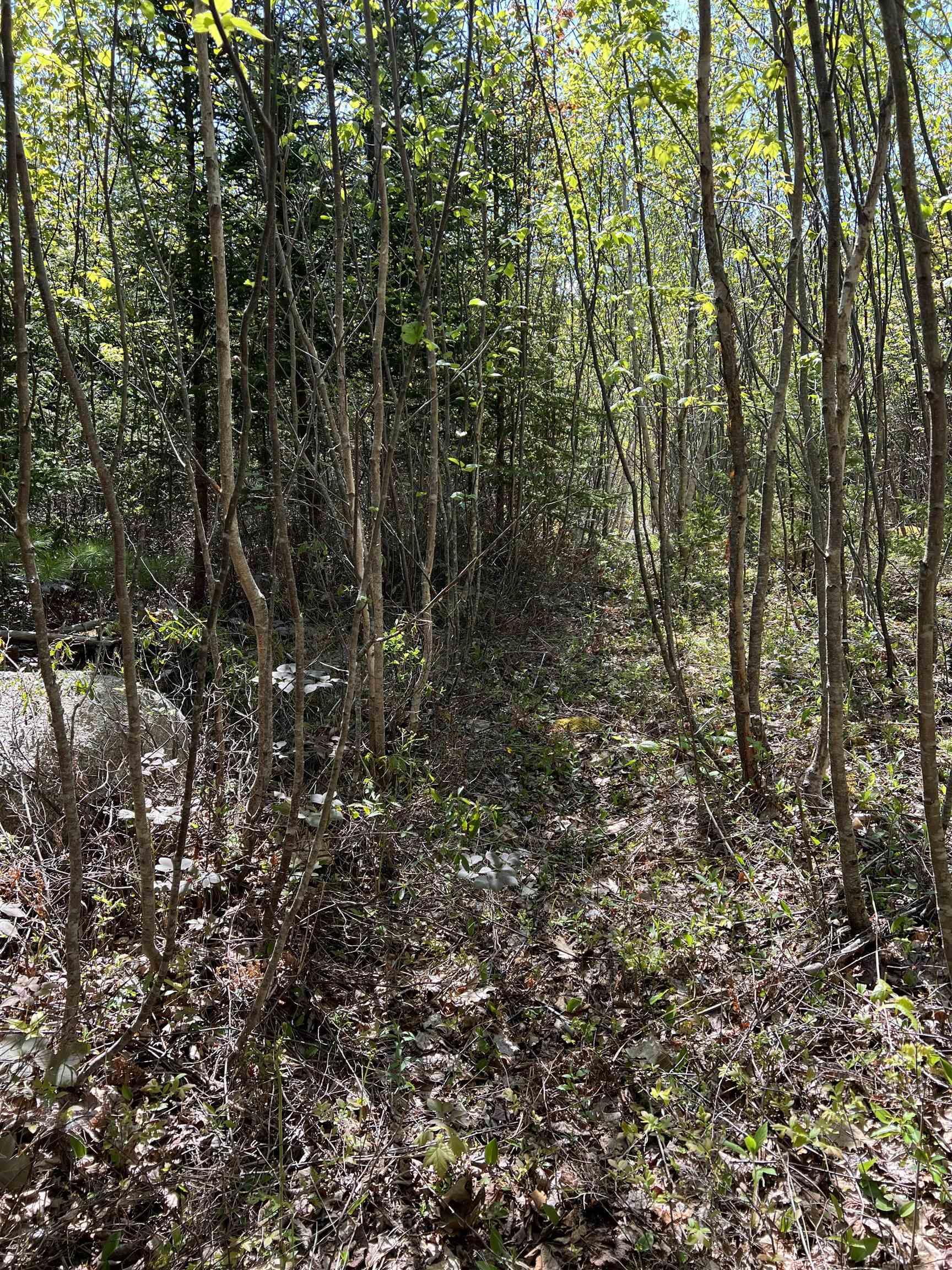 $79,000.00: Lot 2A Highway 329, Deep Cove
