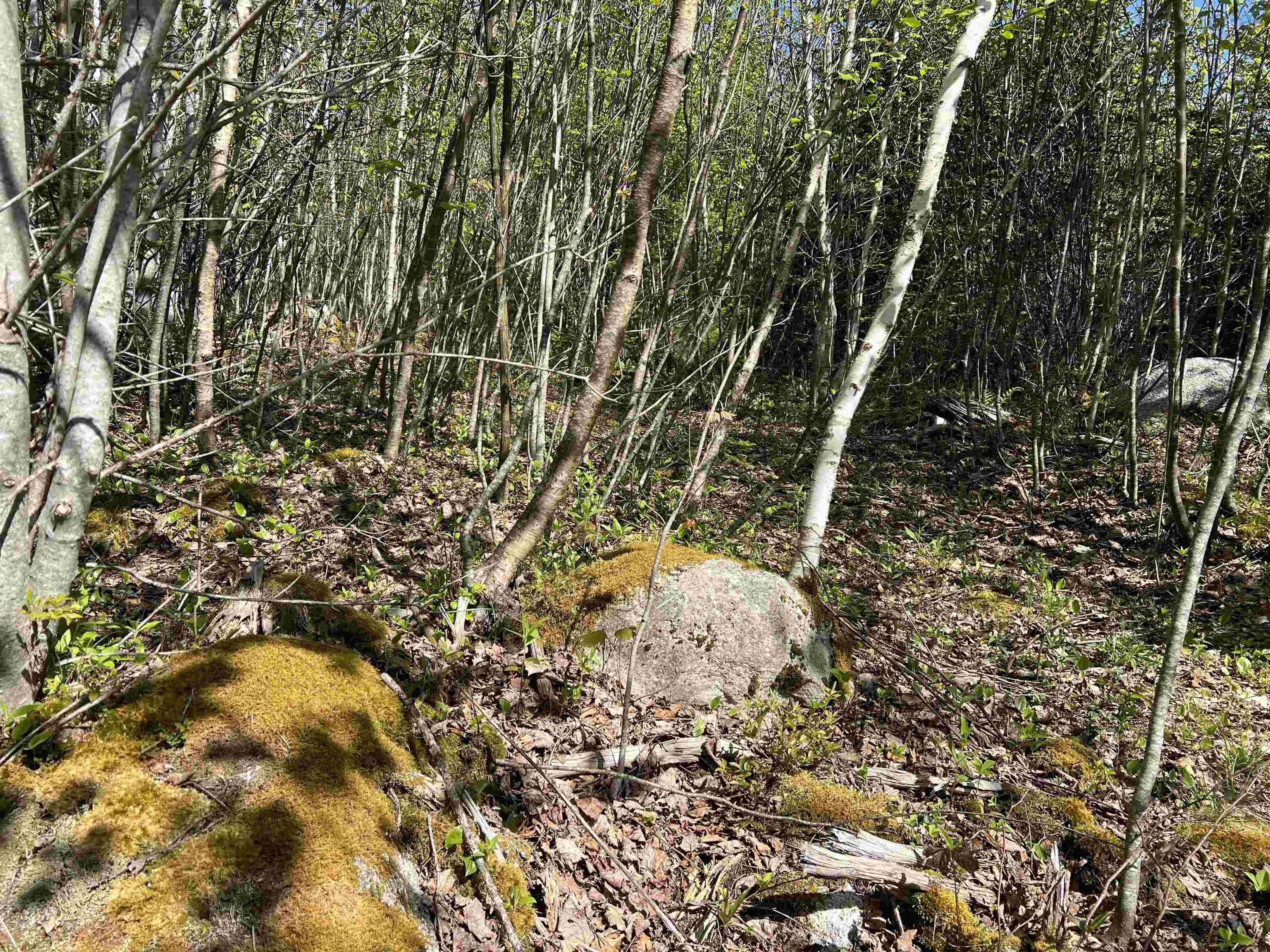 $79,000.00: Lot 2A Highway 329, Deep Cove