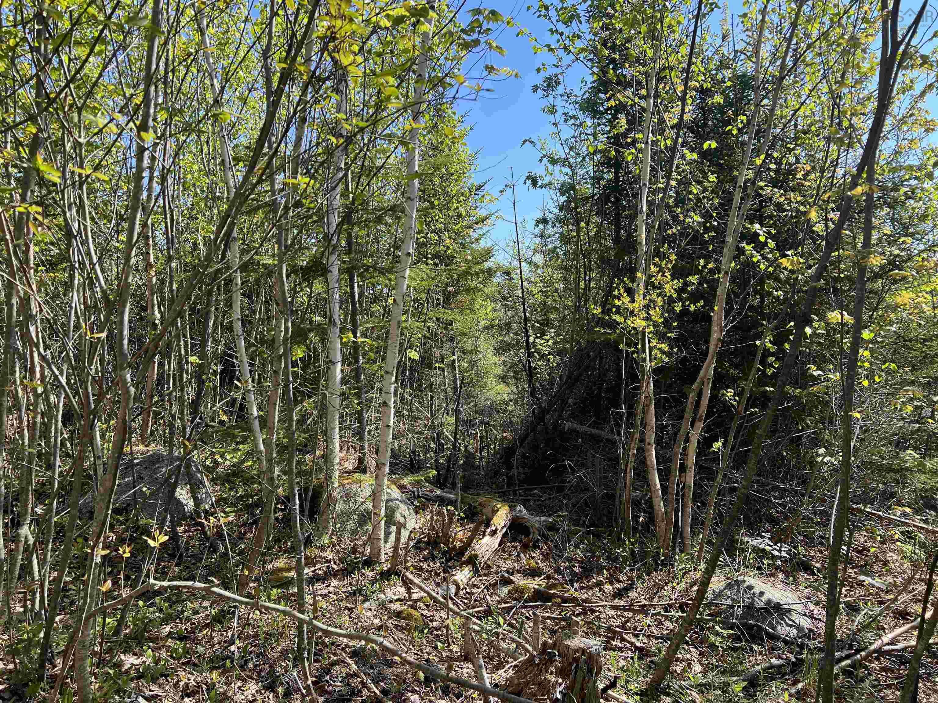 $79,000.00: Lot 2A Highway 329, Deep Cove