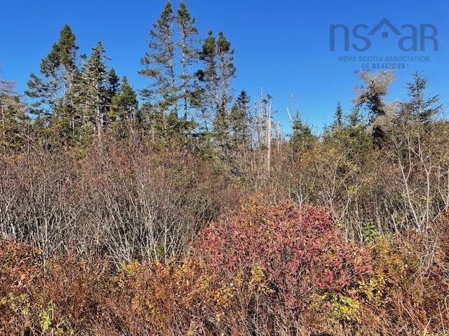 $90,000.00: 0 West Ship Harbour Road, Owls Head