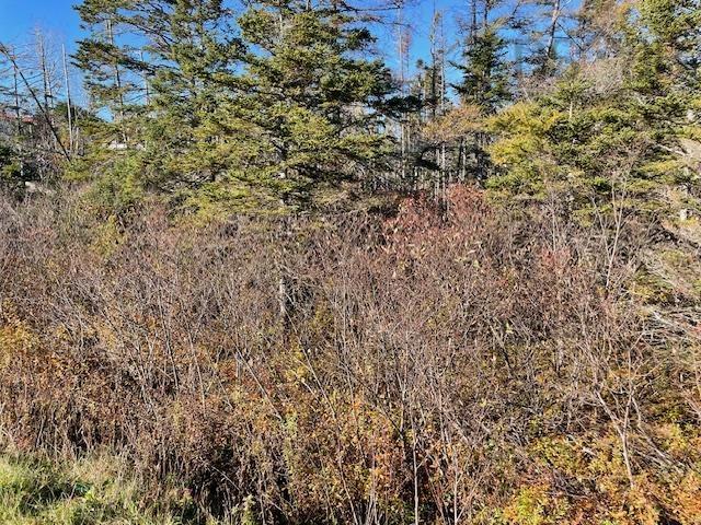 $90,000.00: 0 West Ship Harbour Road, Owls Head
