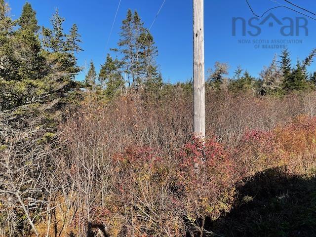$90,000.00: 0 West Ship Harbour Road, Owls Head