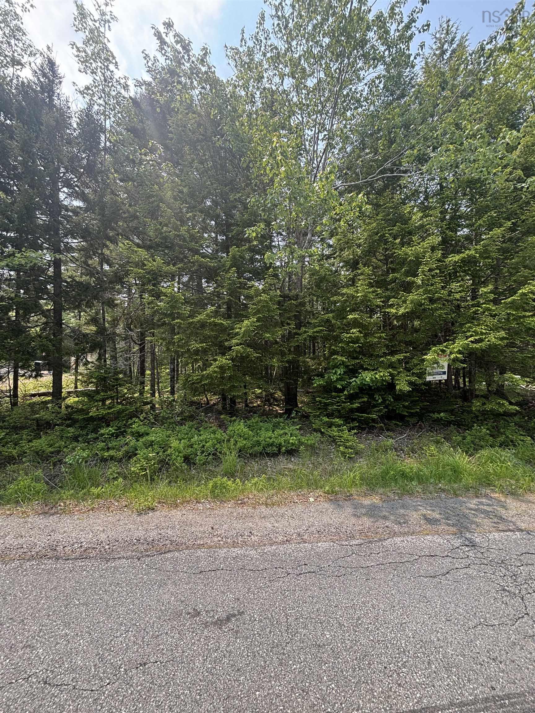 $35,000.00: Lot 6 Cooks lake Road, Cooks Brook