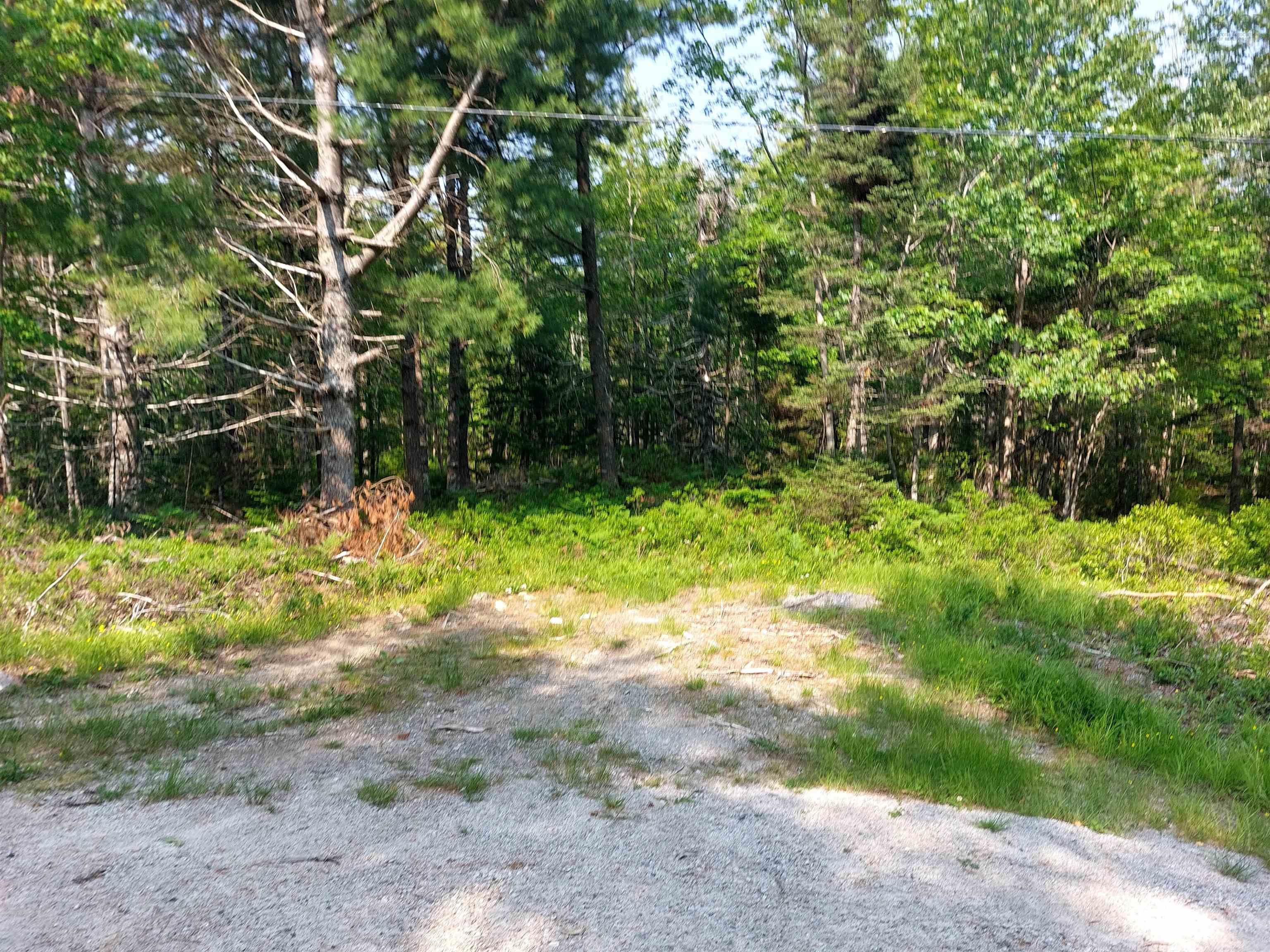 $49,000.00: Lot Hartz Point Road, Hartz Point